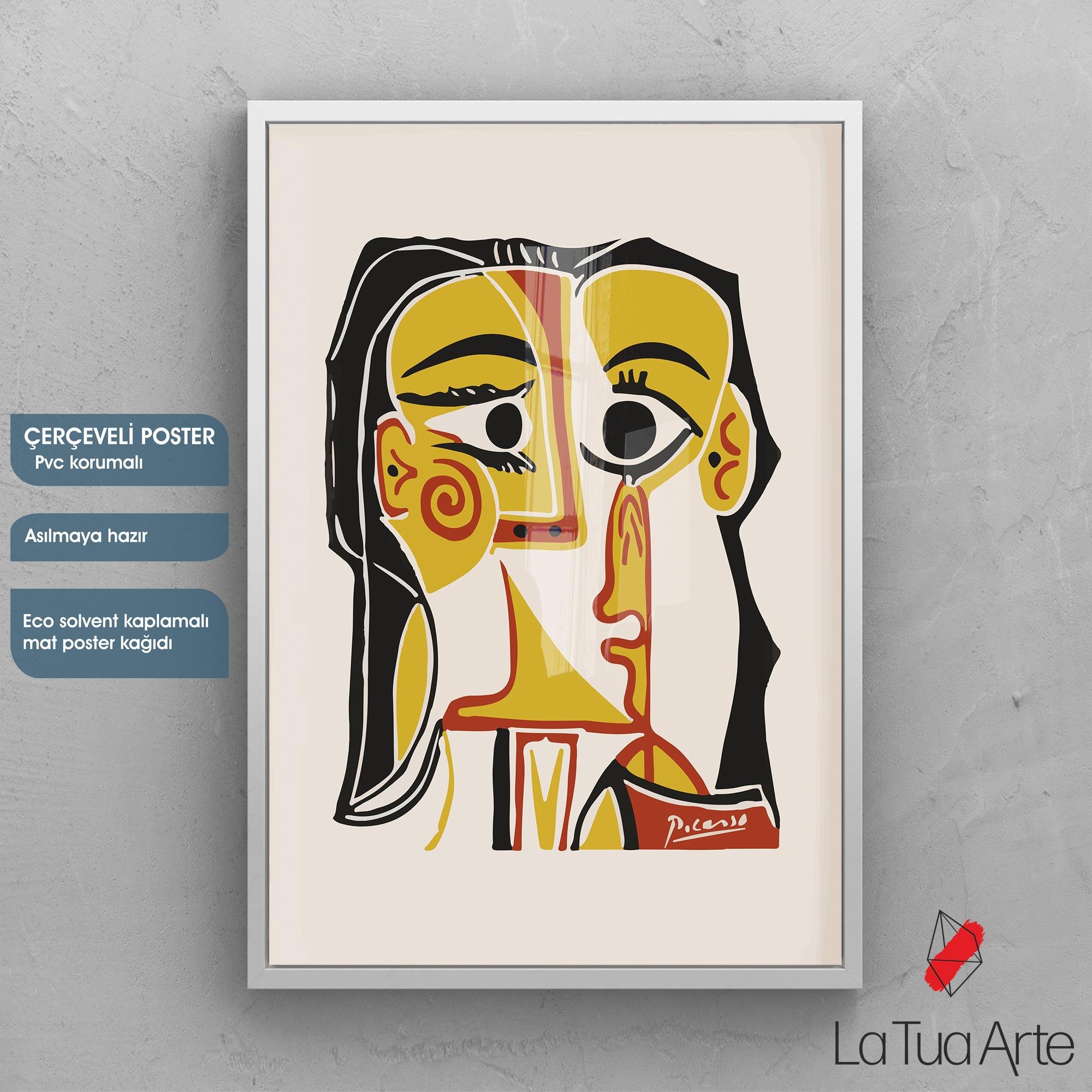 PICASSO 1