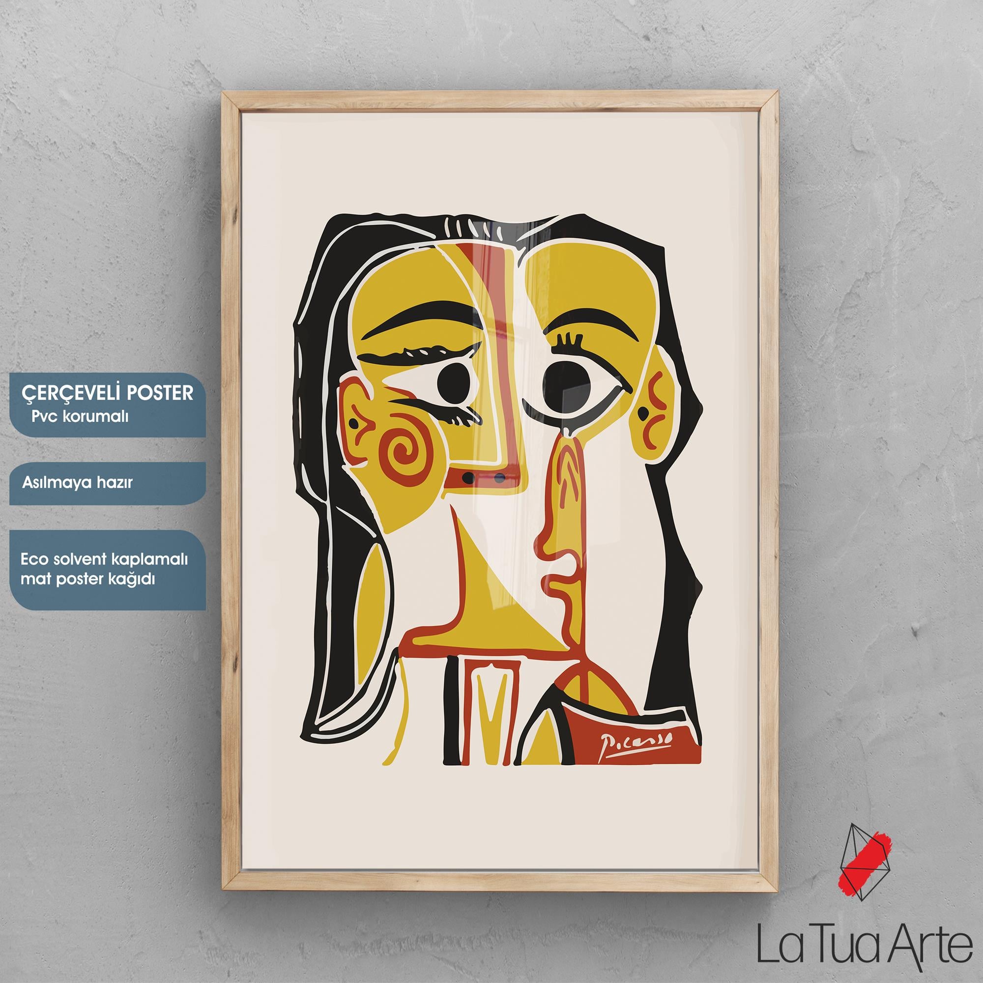 PICASSO 1