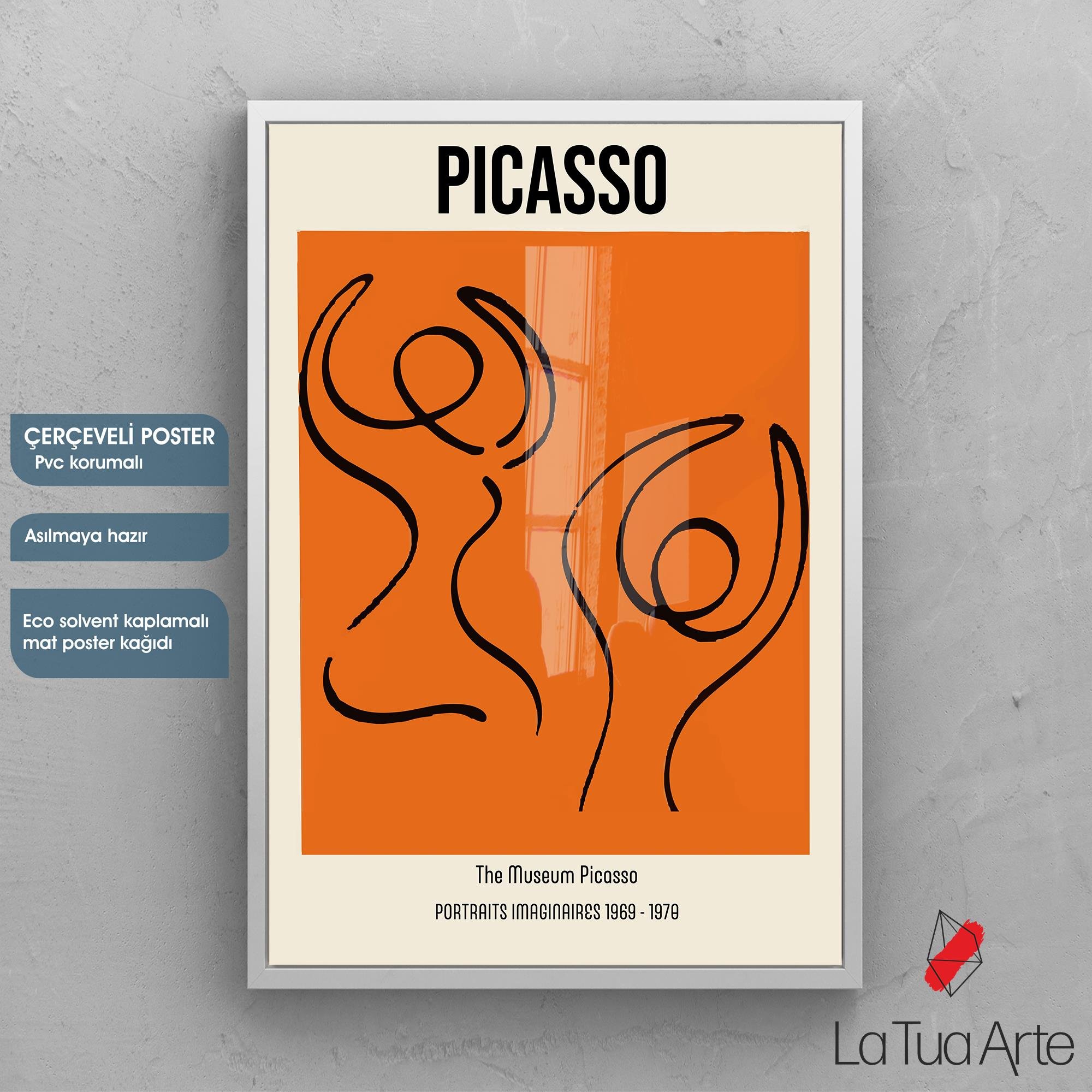 PICASSO1