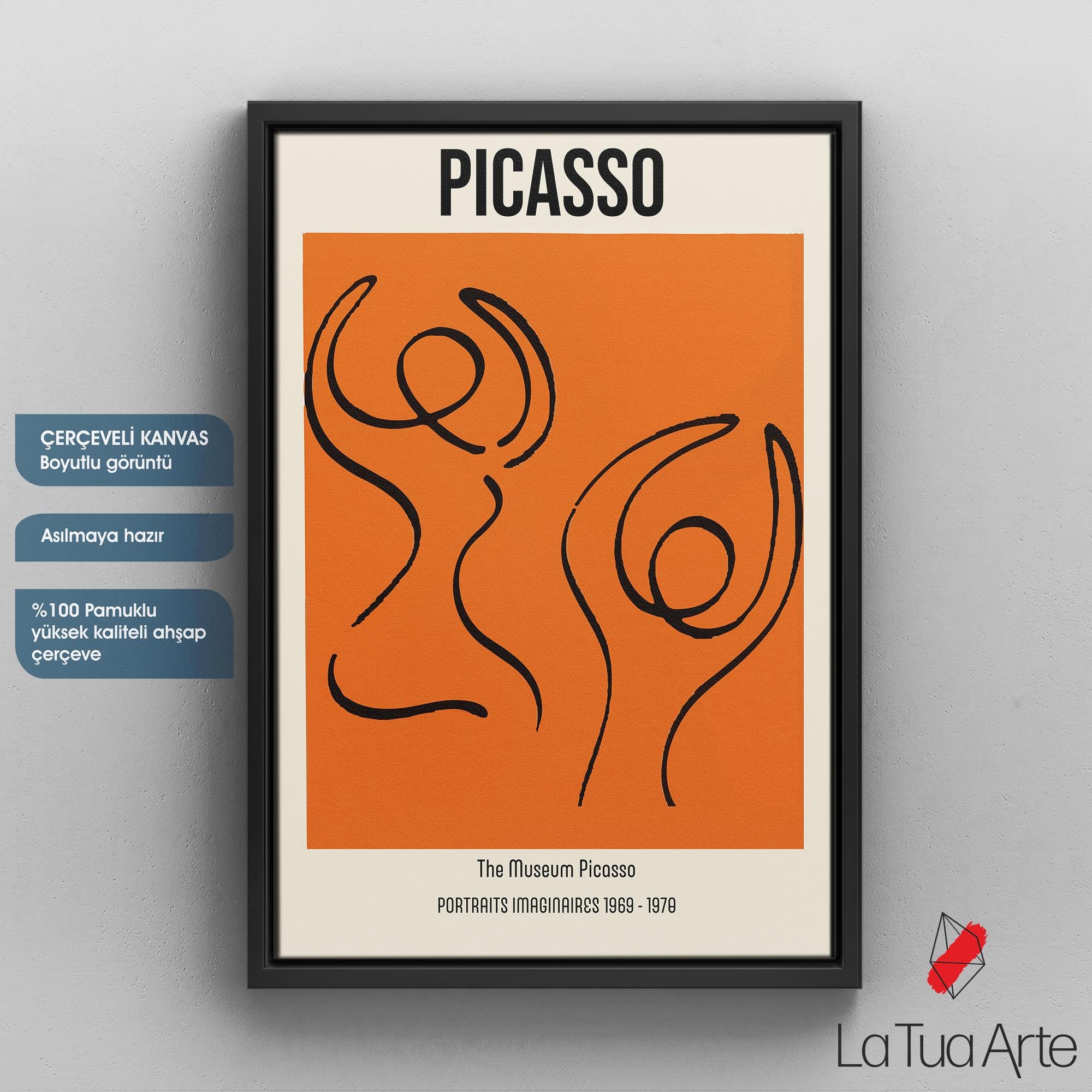 PICASSO1