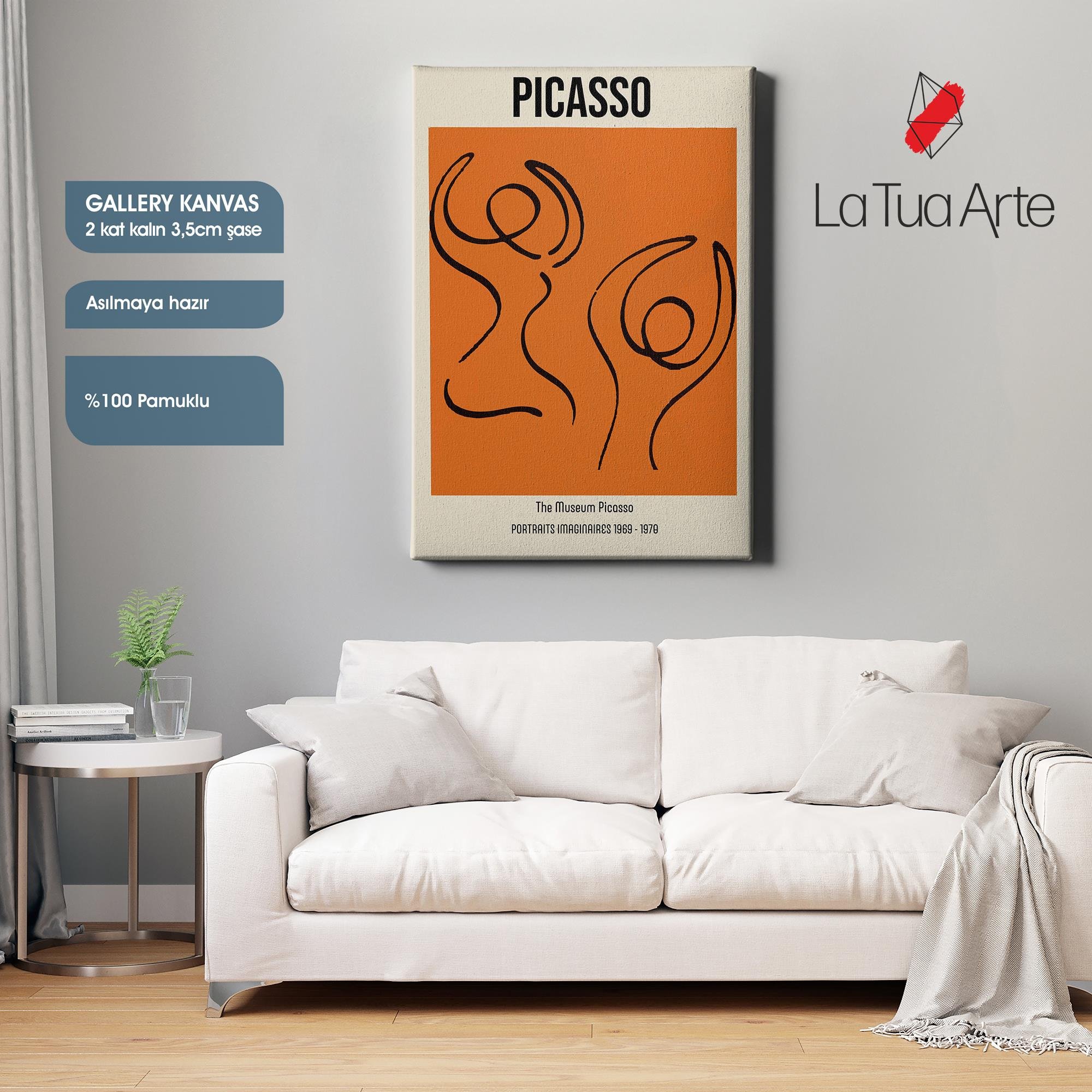 PICASSO1
