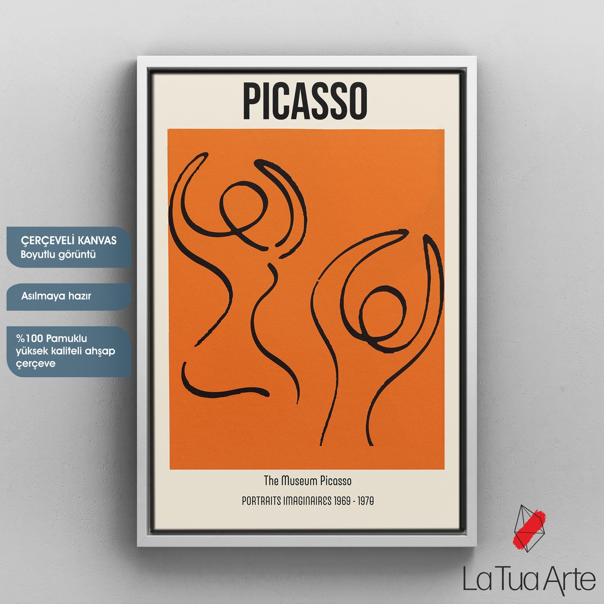 PICASSO1