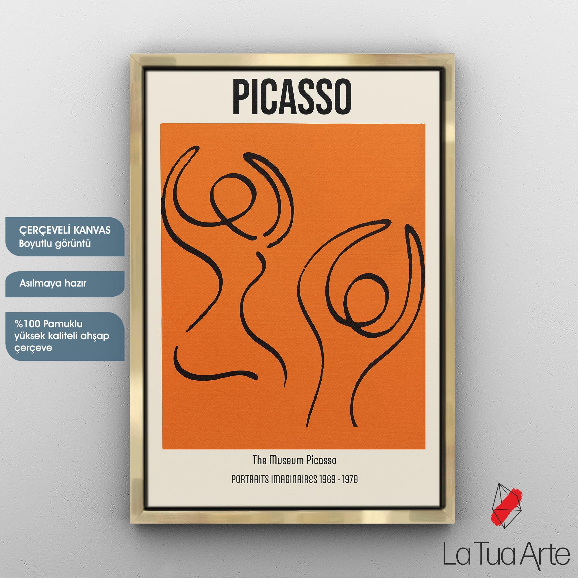 PICASSO1