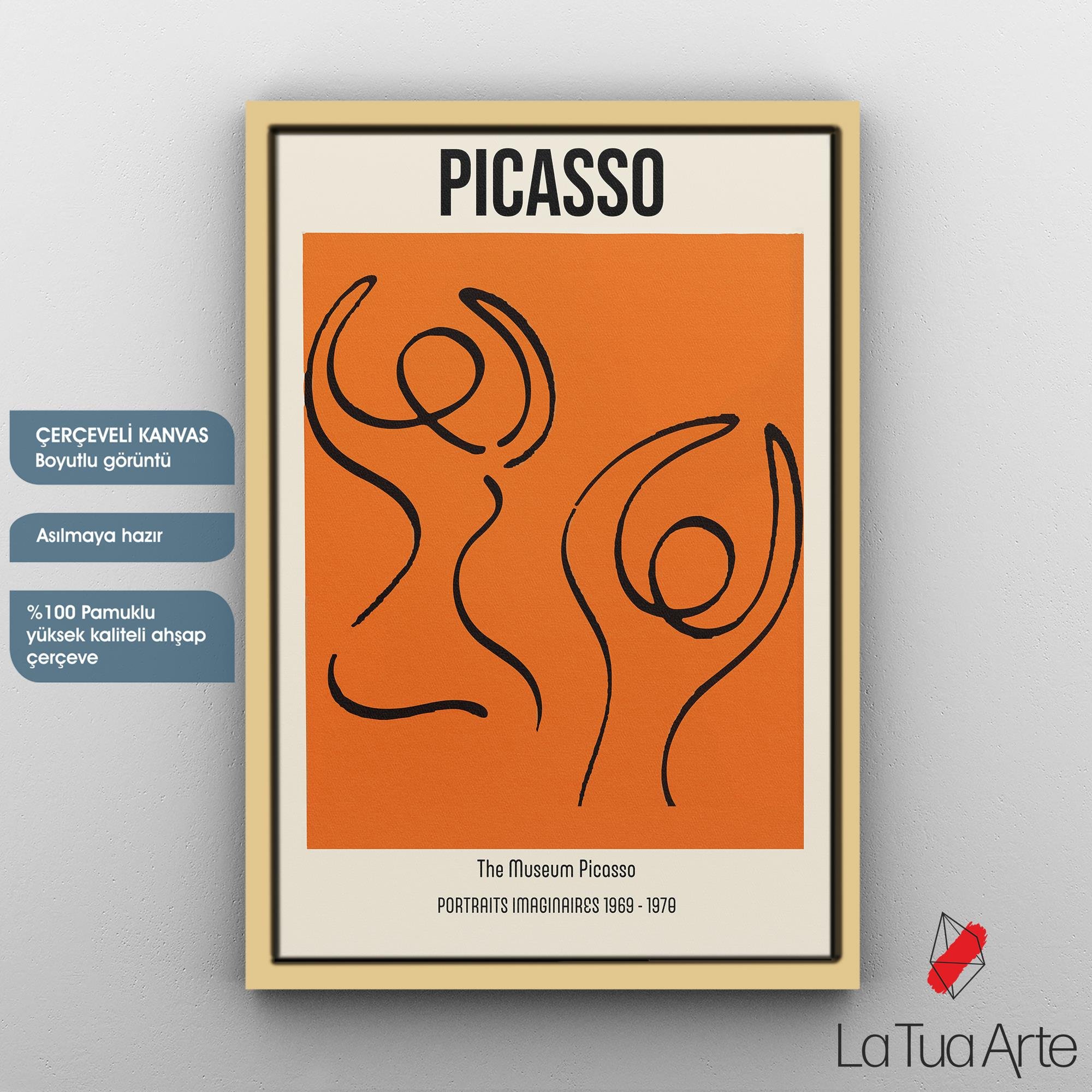 PICASSO1