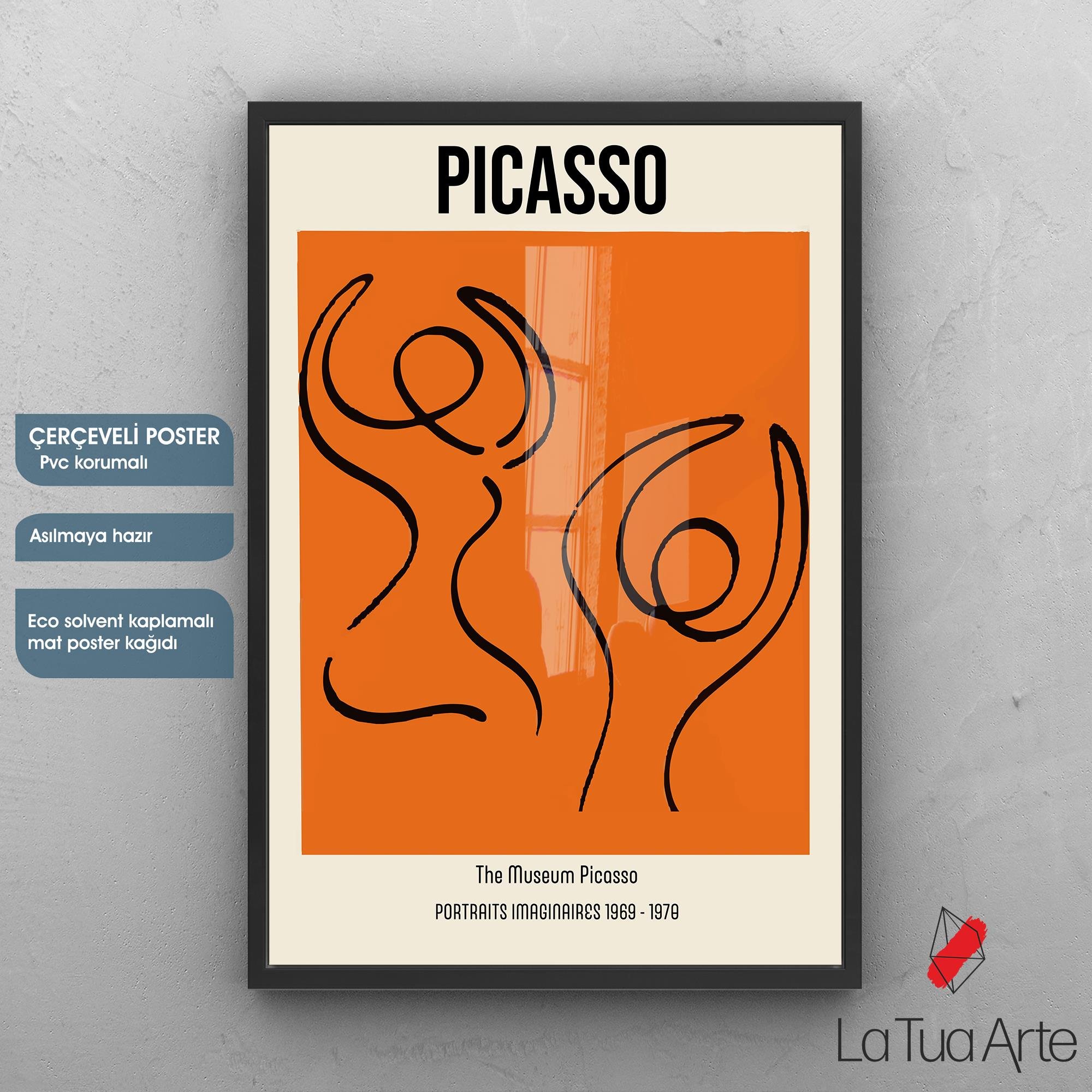 PICASSO1