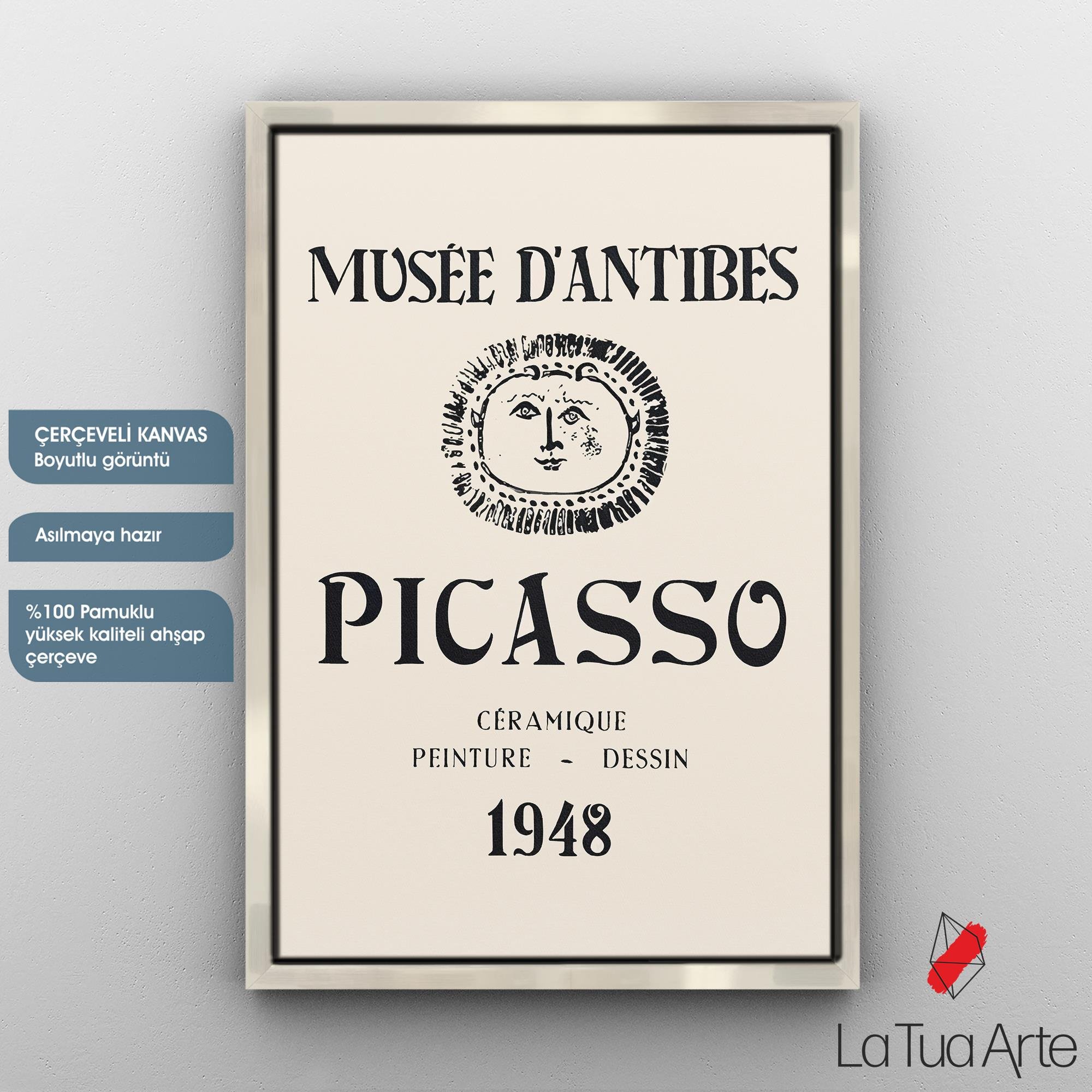 PICASSO2