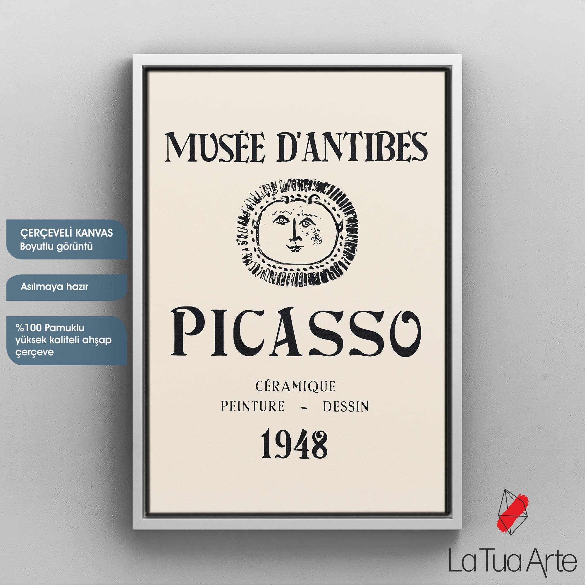 PICASSO2