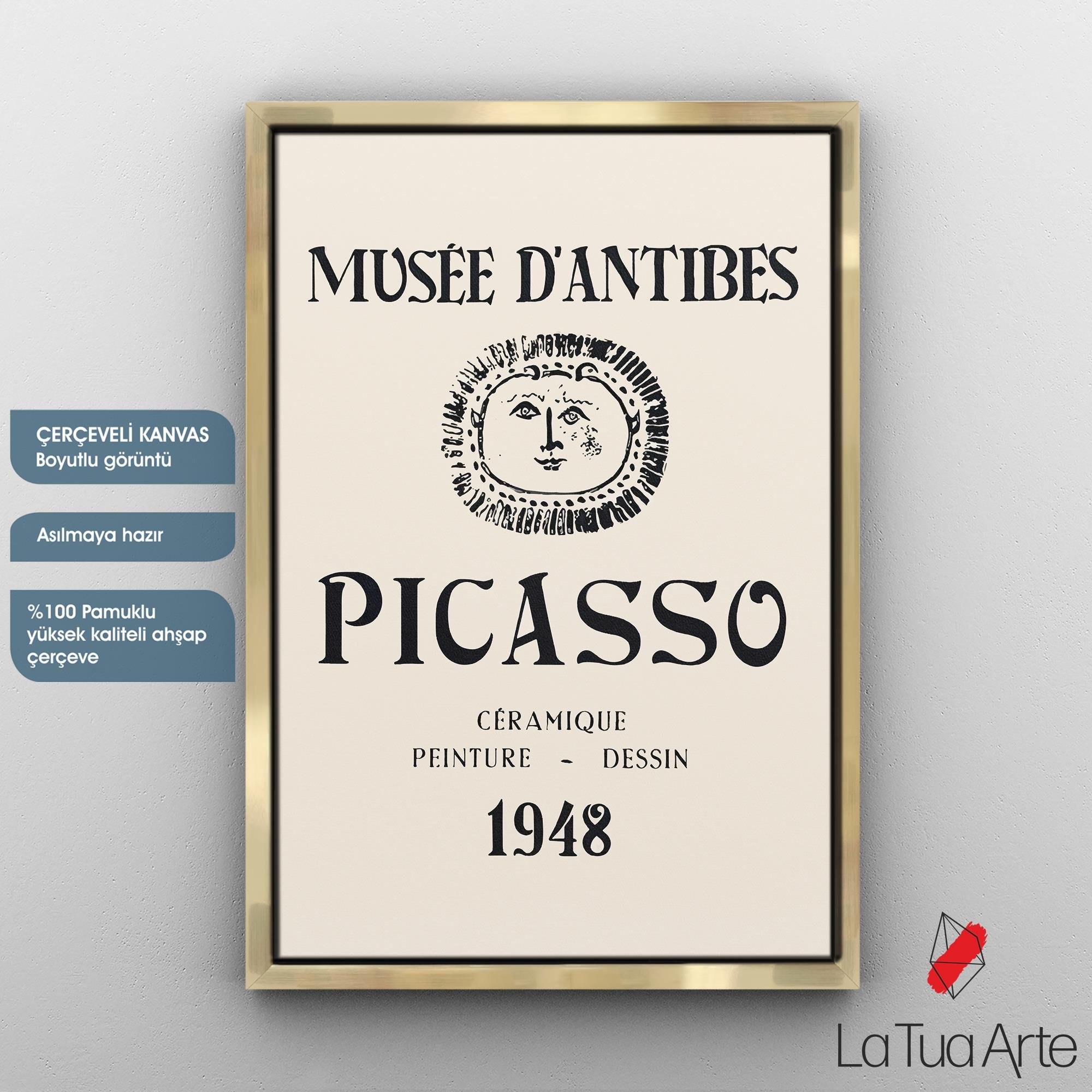 PICASSO2