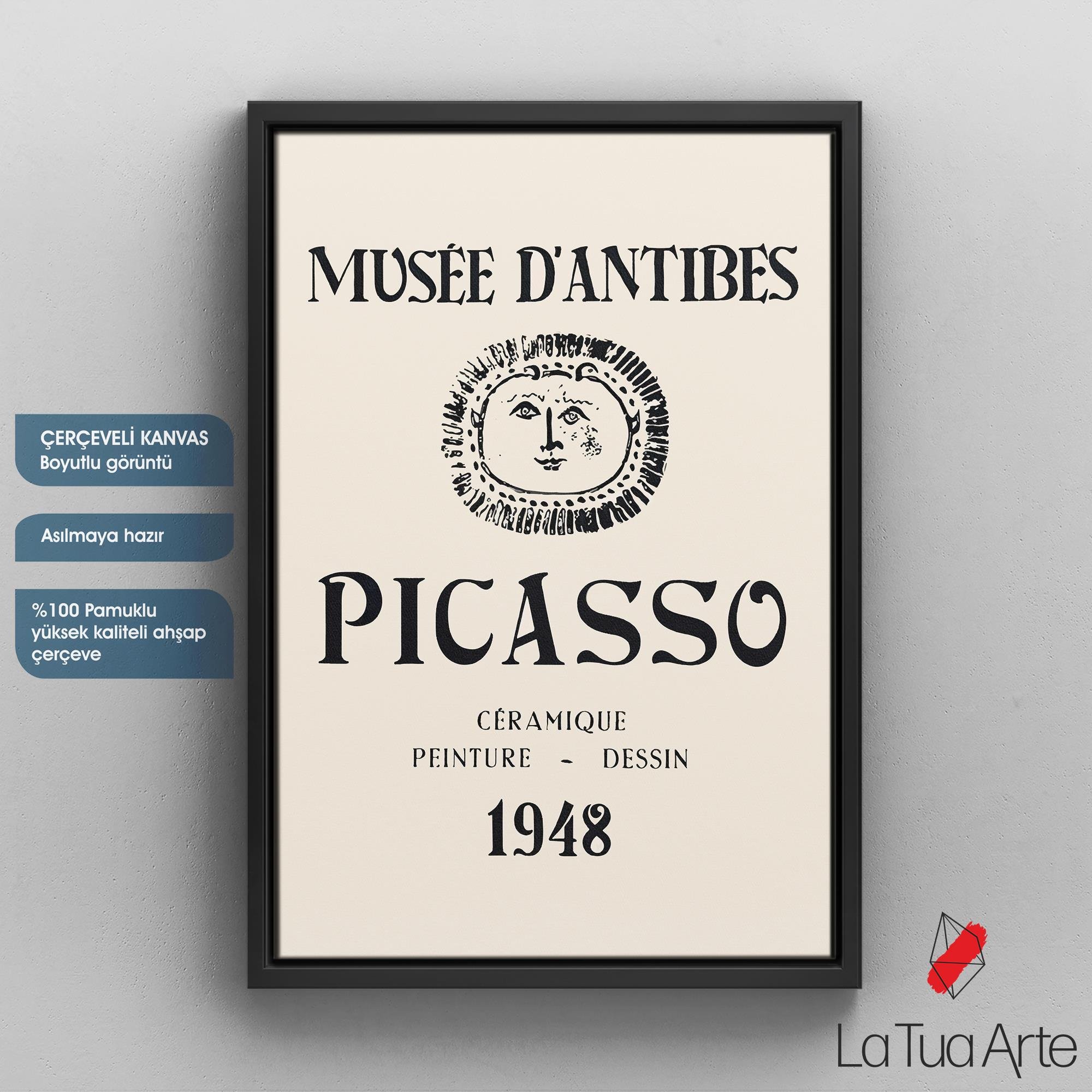 PICASSO2