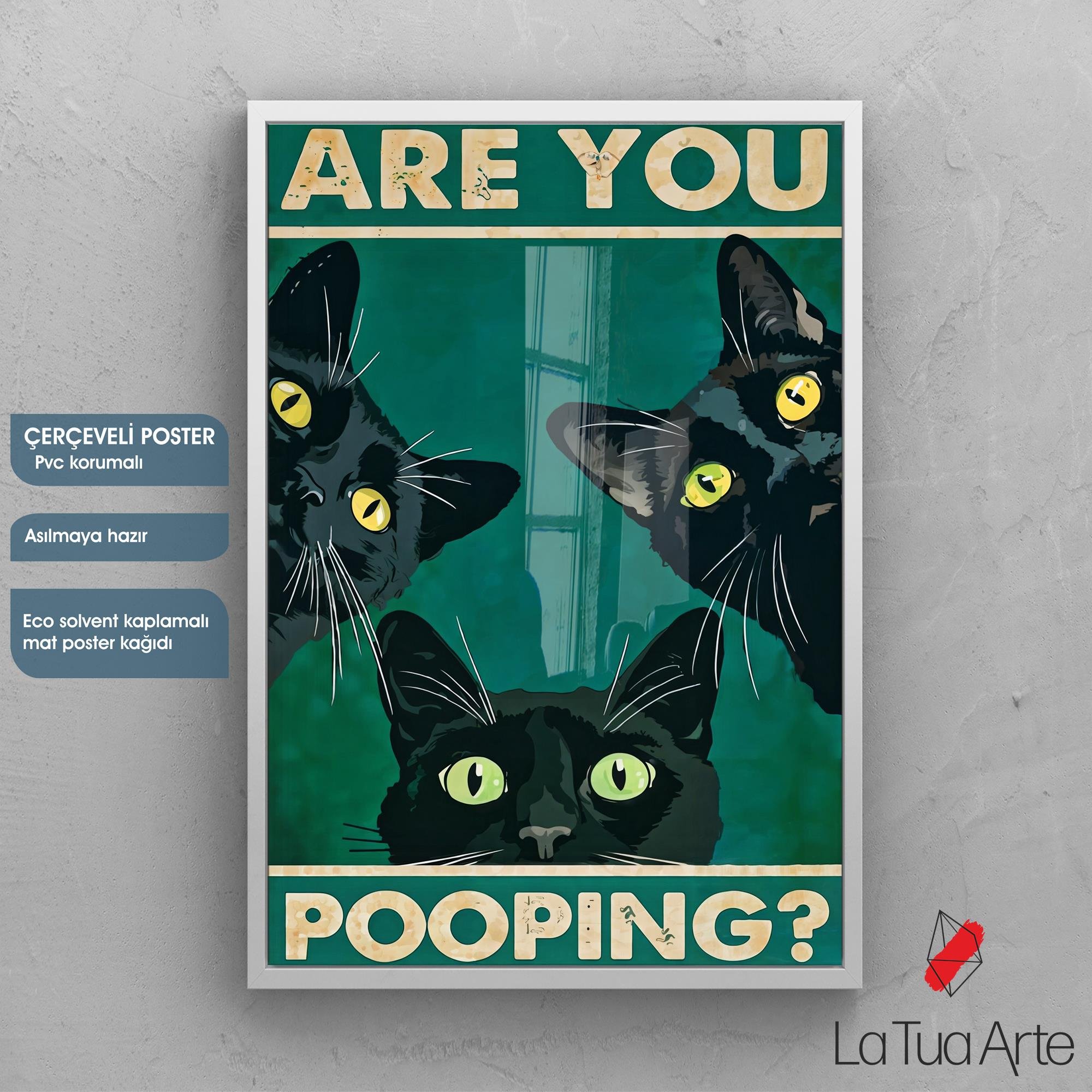 POOPING