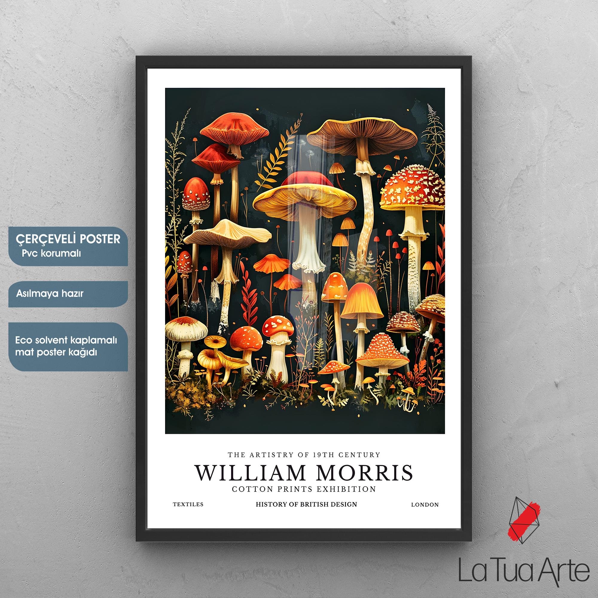 WILLIAM MORRIS 10