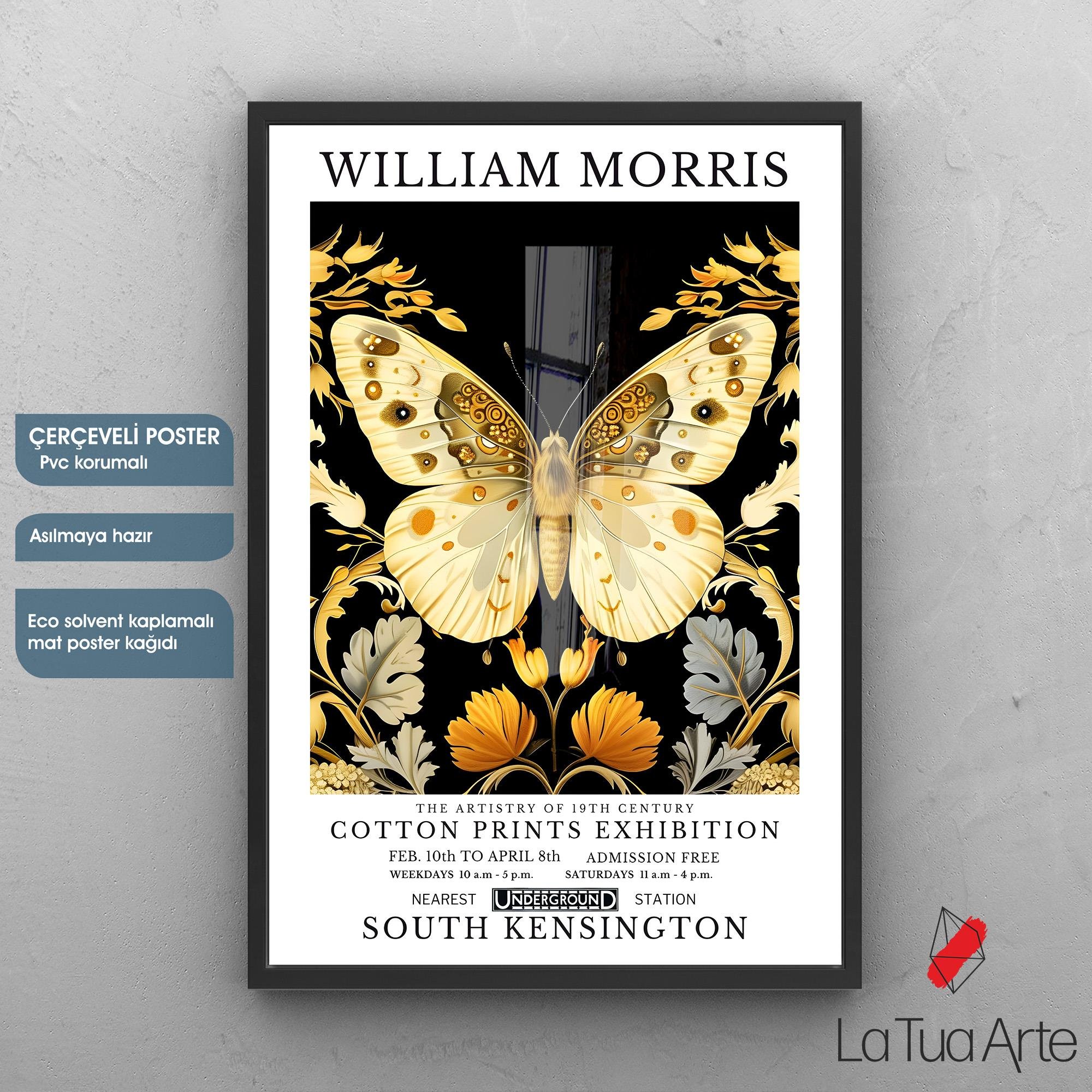 WILLIAM MORRIS 7