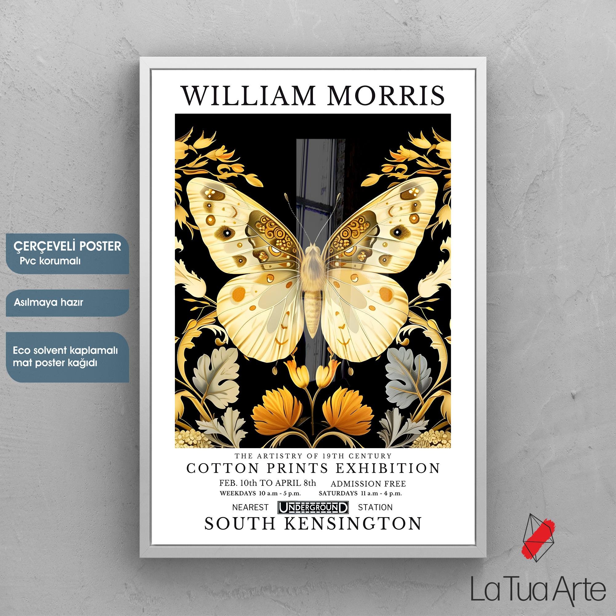 WILLIAM MORRIS 7