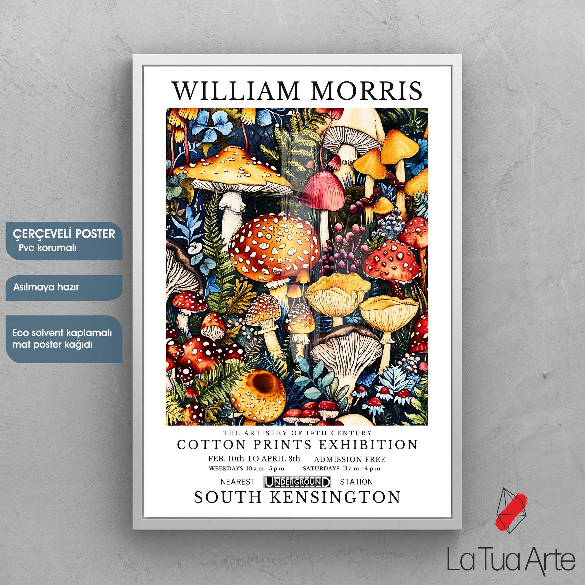 WILLIAM MORRIS 9