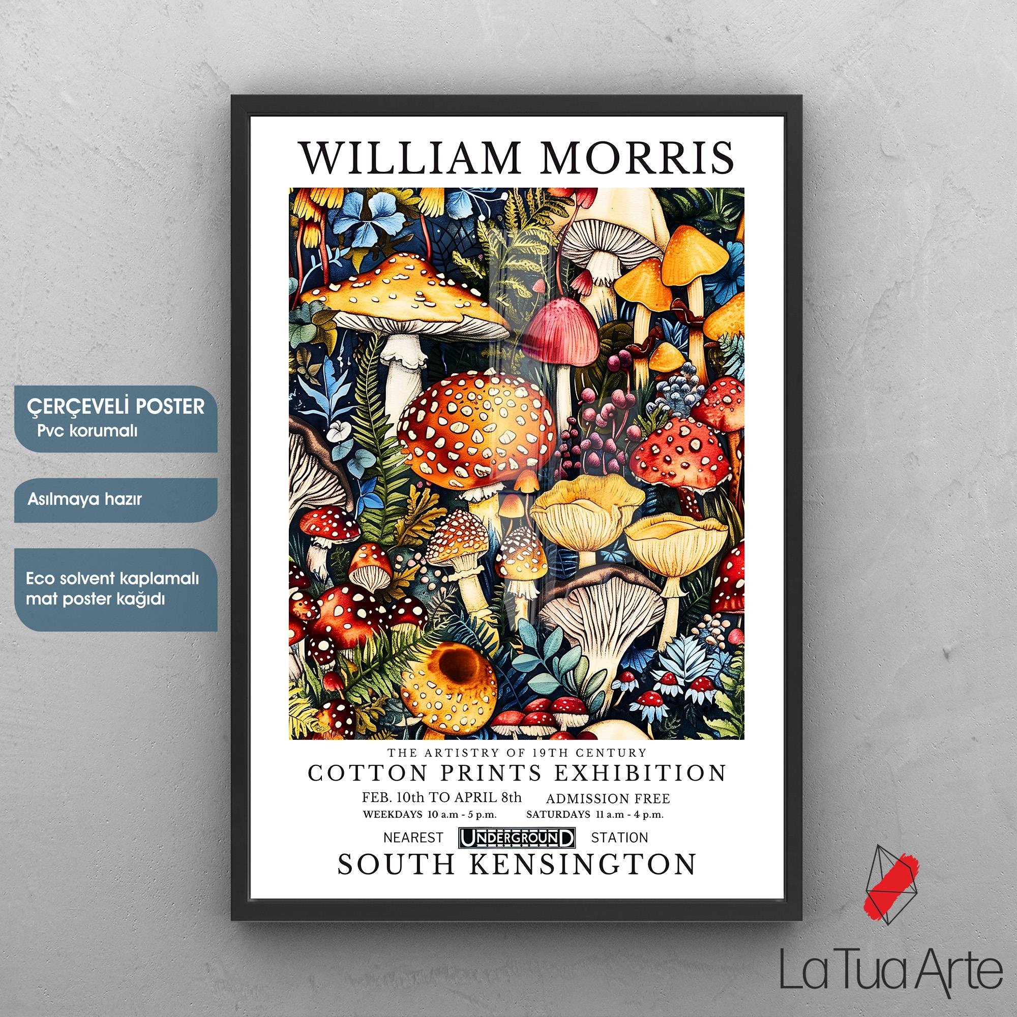 WILLIAM MORRIS 9