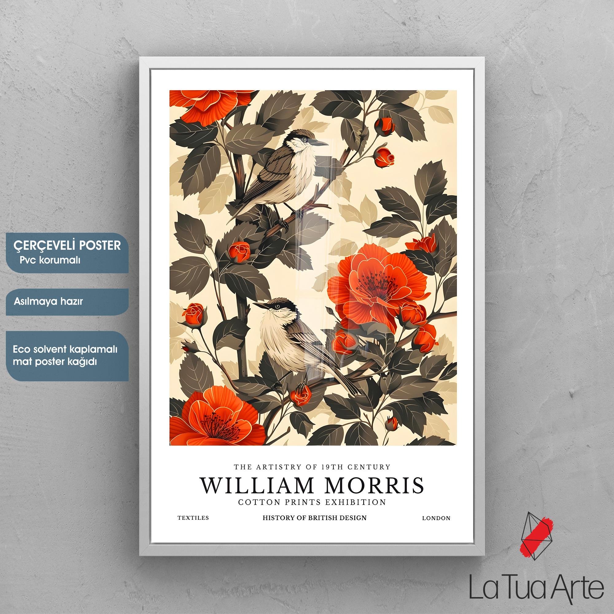 WILLIAM MORRIS14