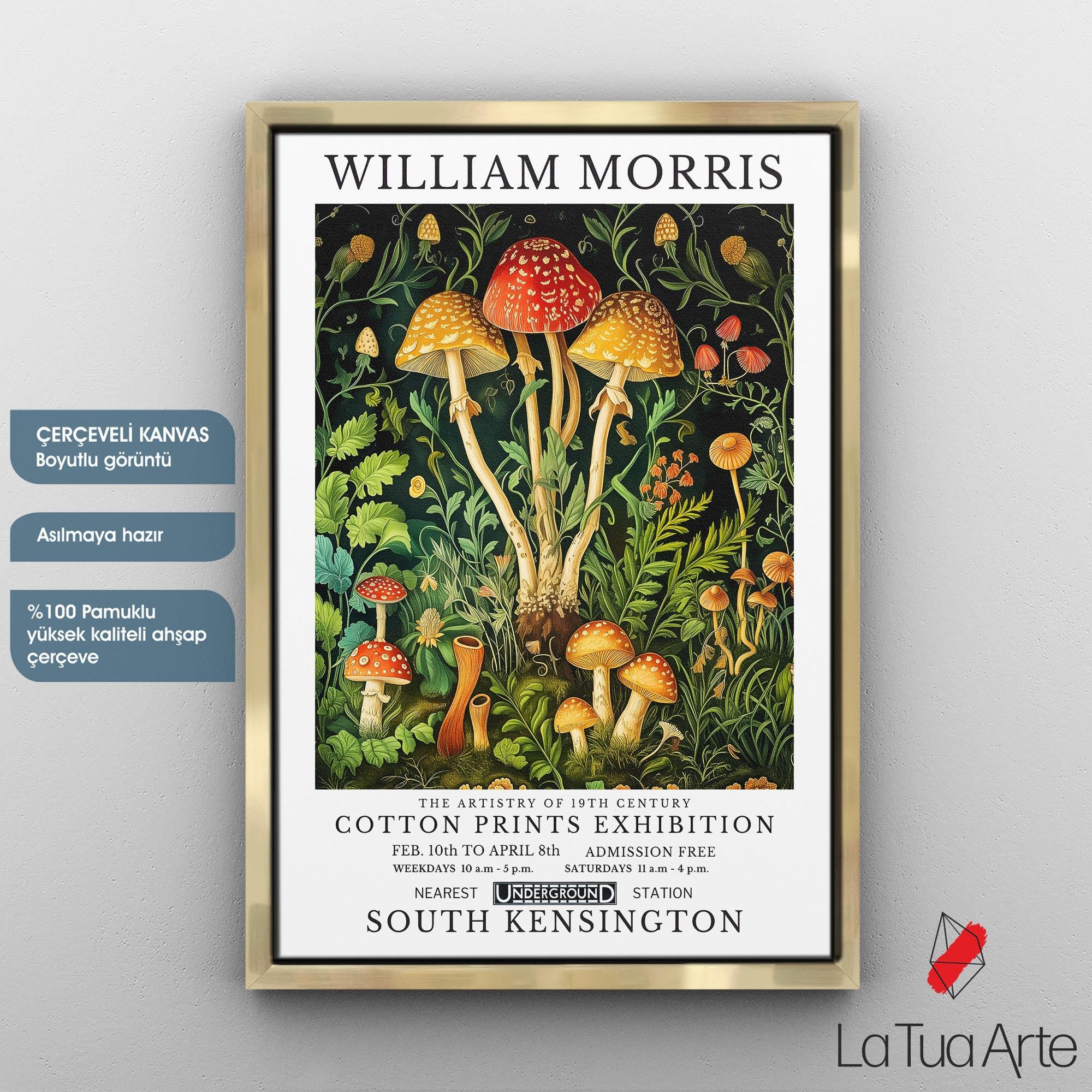 WILLIAM MORRIS16