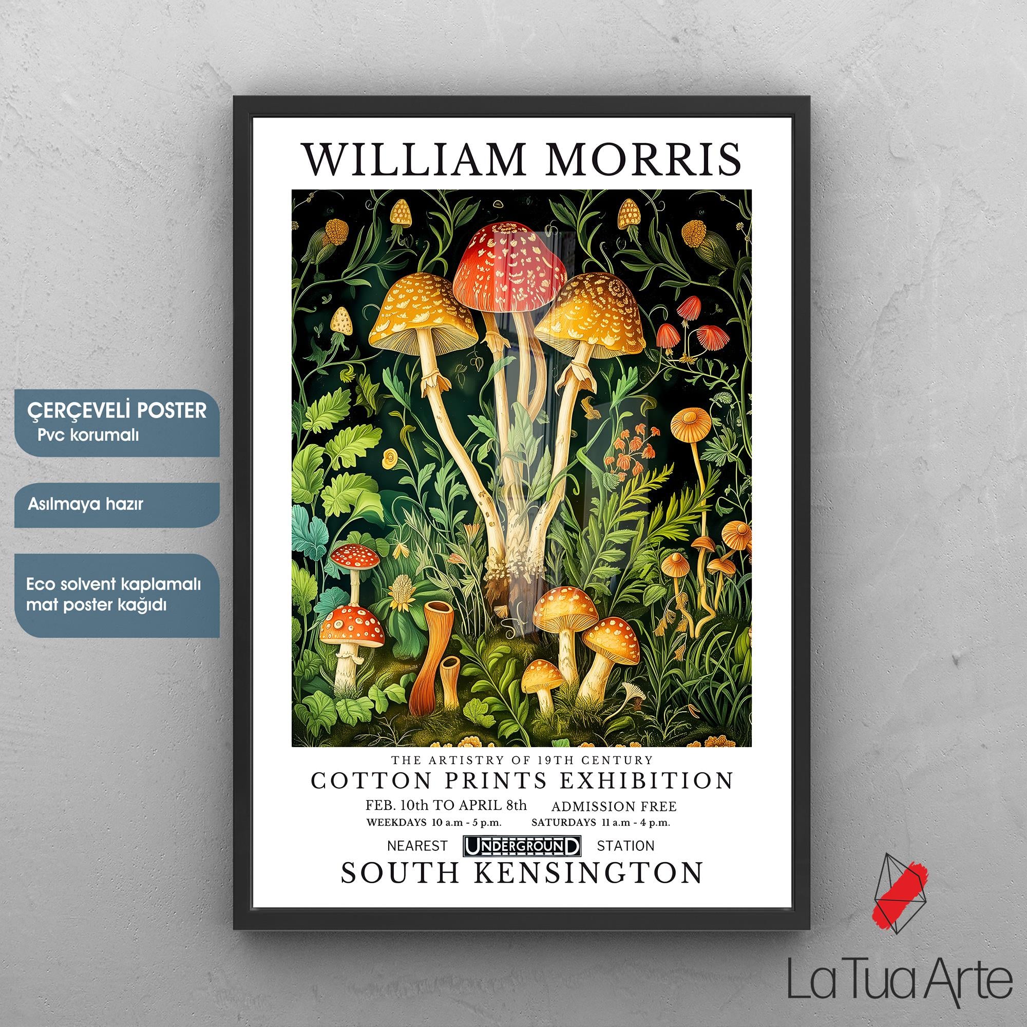 WILLIAM MORRIS16