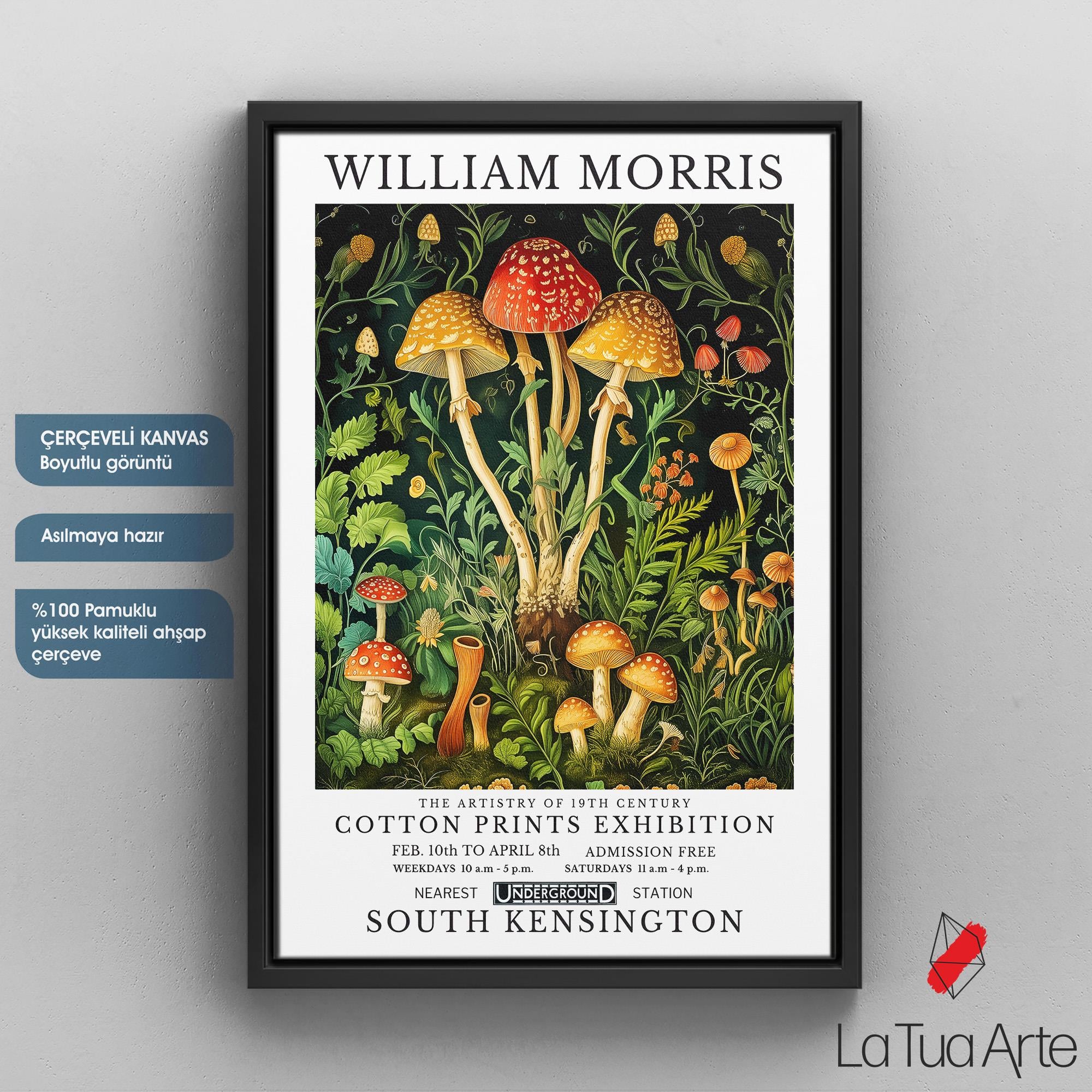 WILLIAM MORRIS16