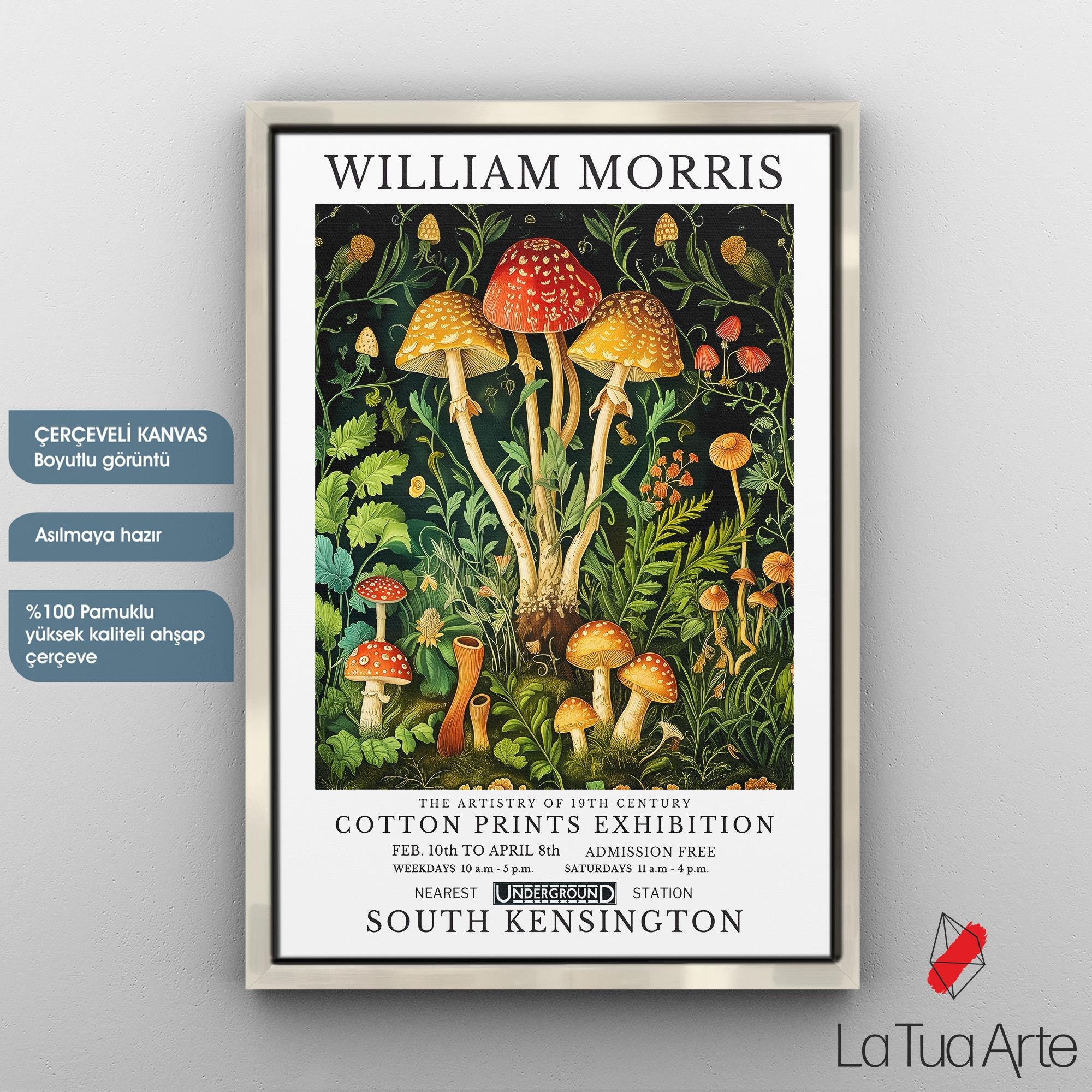WILLIAM MORRIS16