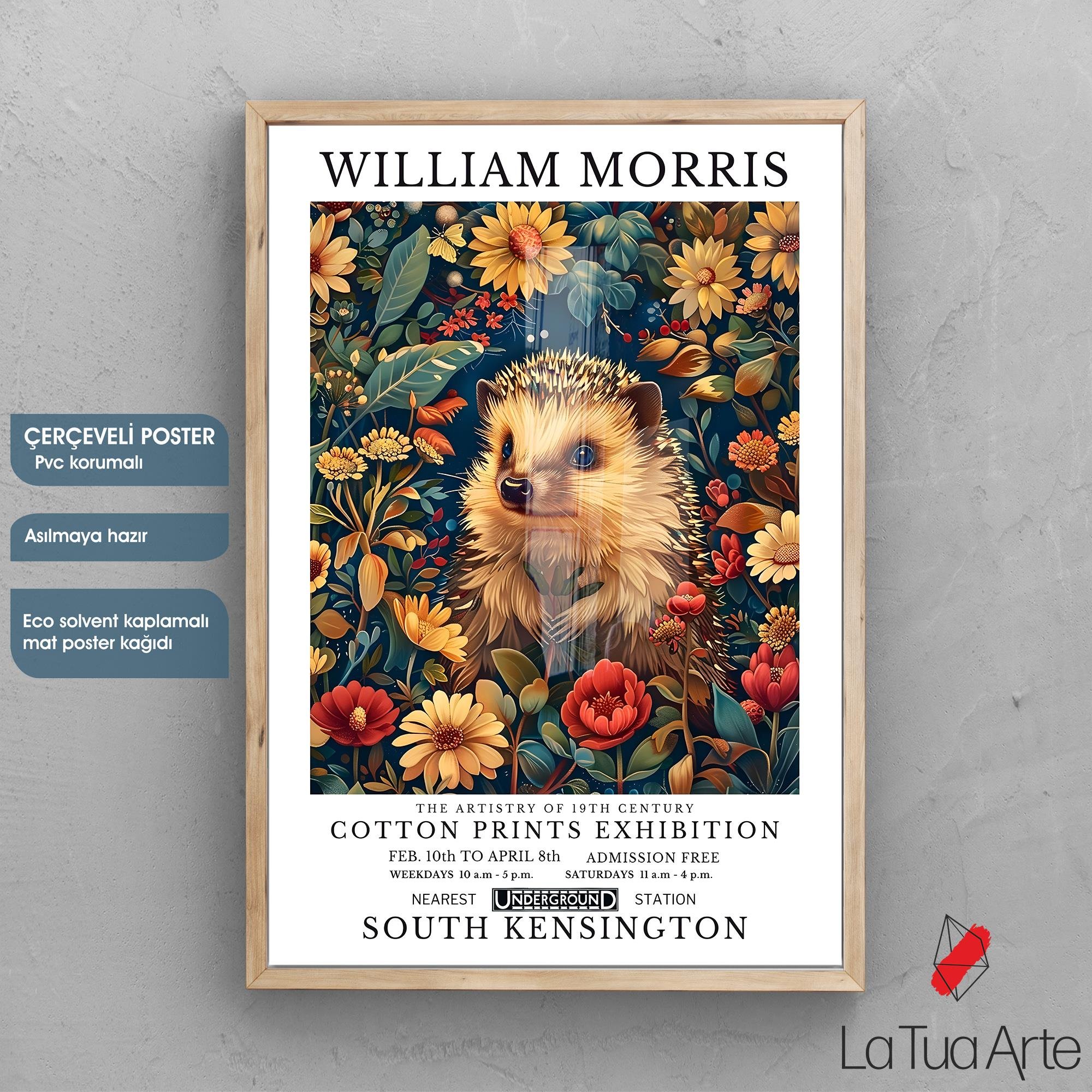 WILLIAM MORRIS17