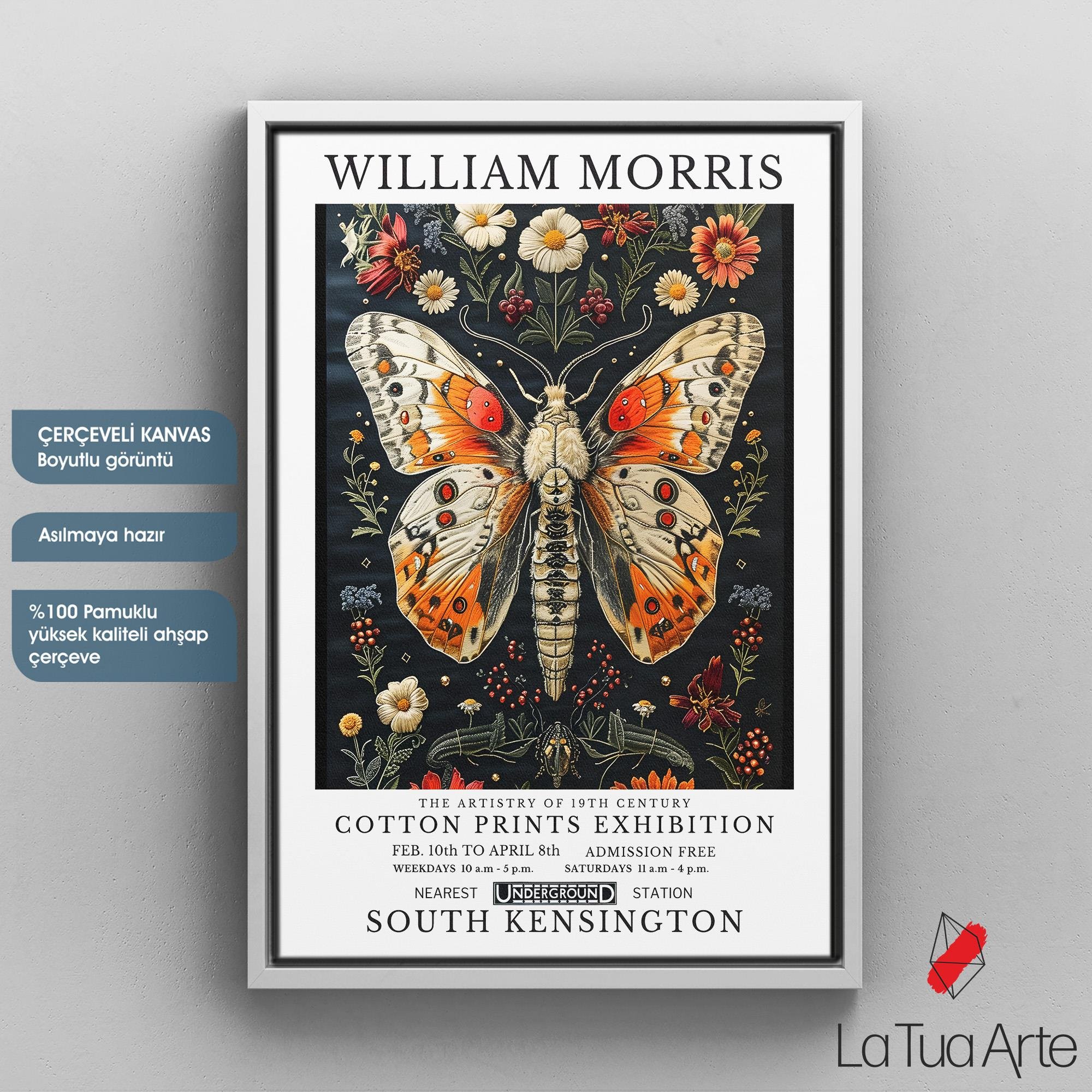 WILLIAM MORRIS3