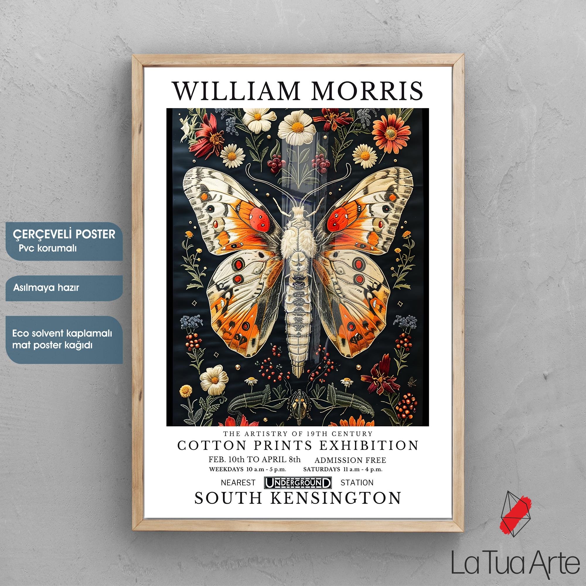 WILLIAM MORRIS3