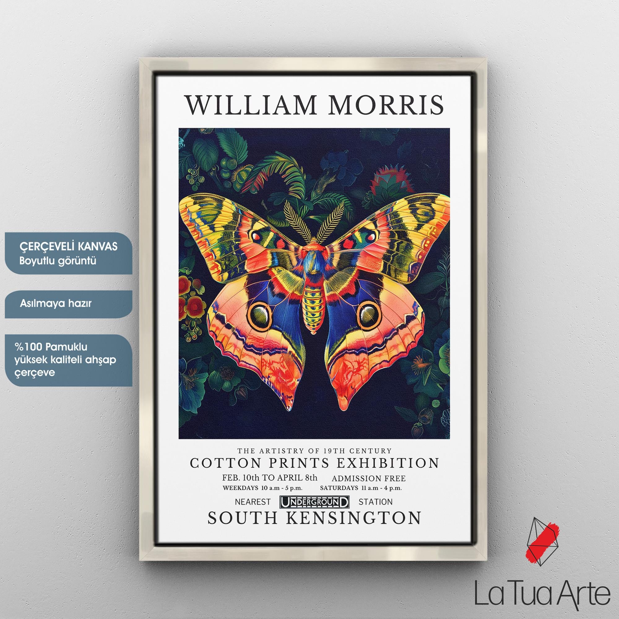 WILLIAM MORRIS4