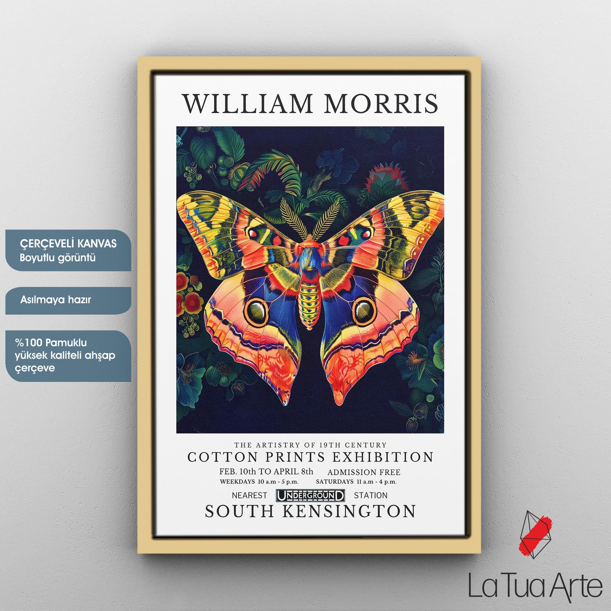 WILLIAM MORRIS4