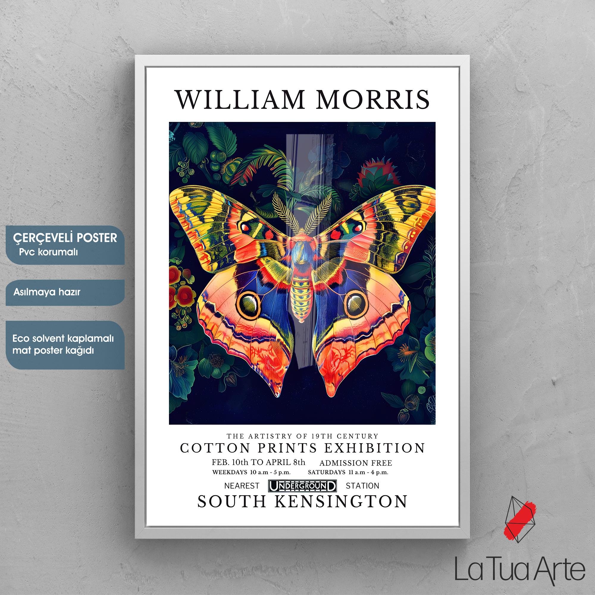 WILLIAM MORRIS4