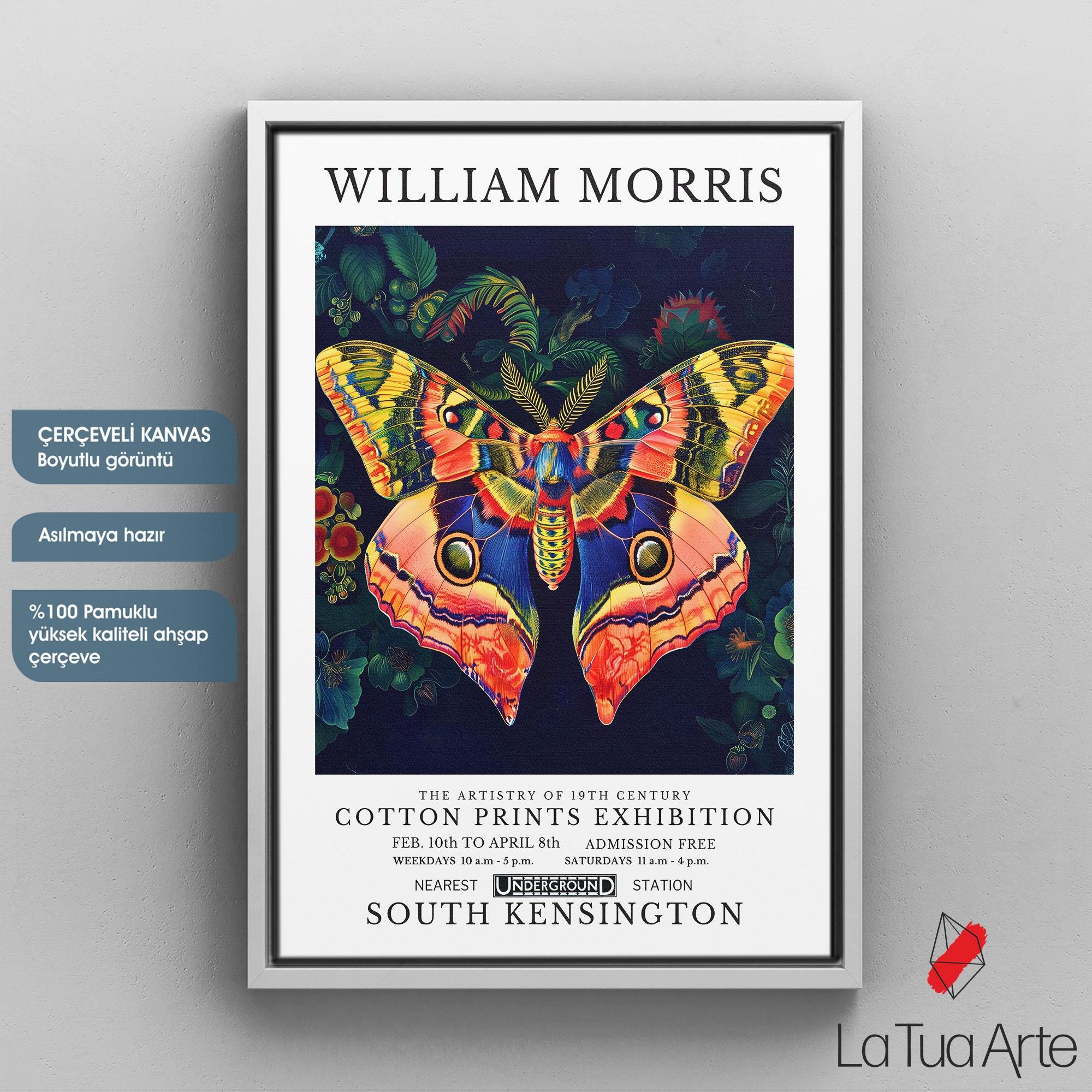 WILLIAM MORRIS4