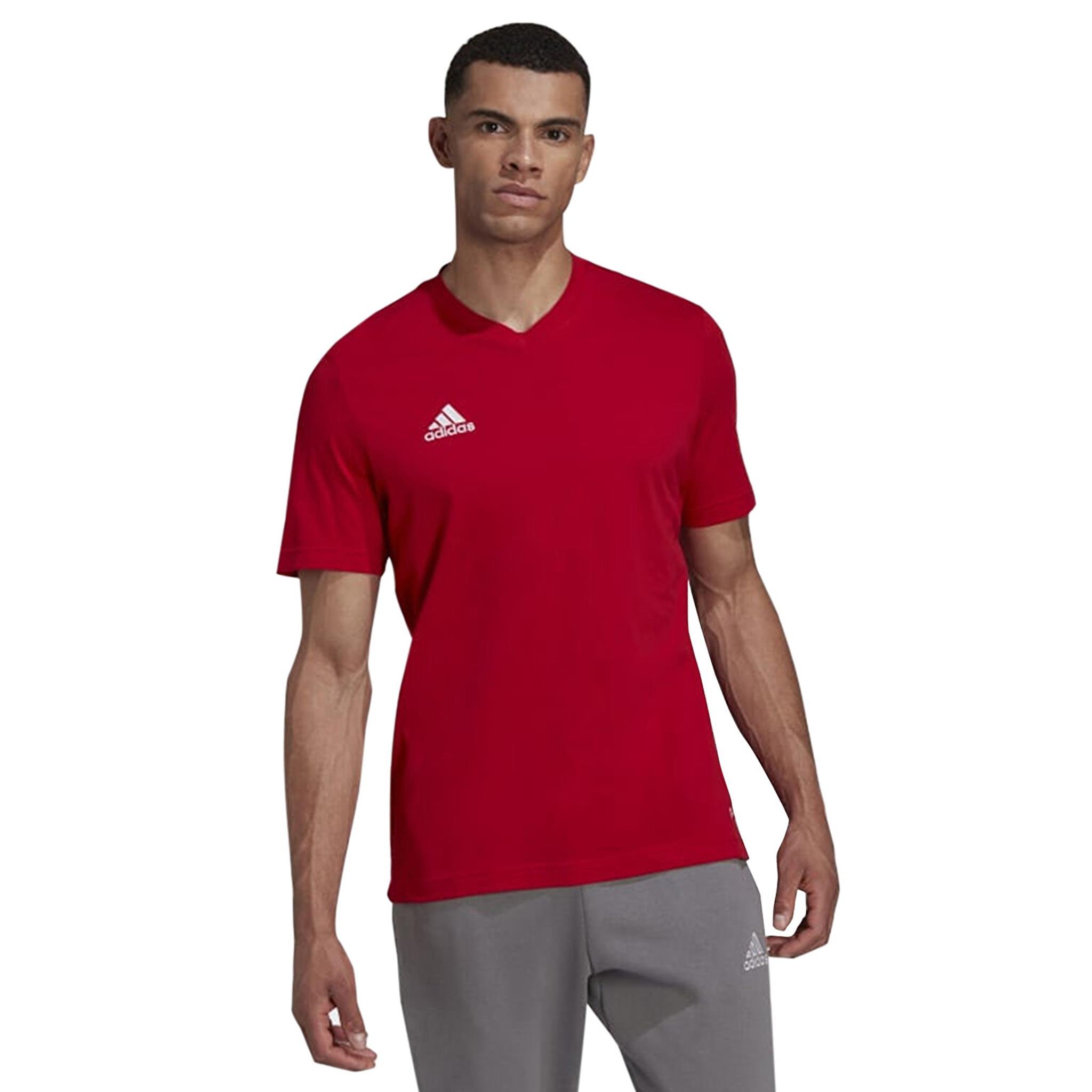 ADIDAS HC0451 ENT22 TEE