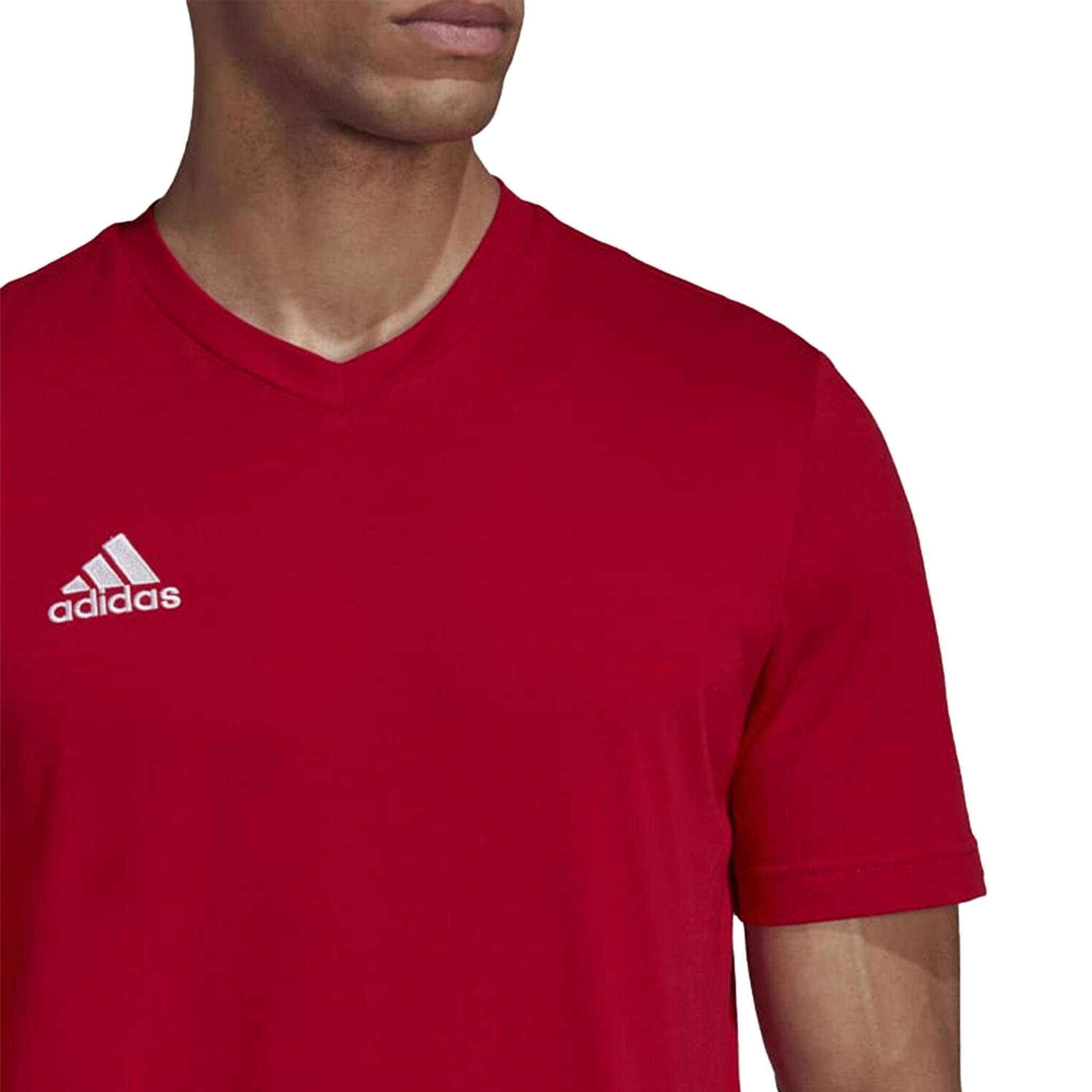 ADIDAS HC0451 ENT22 TEE