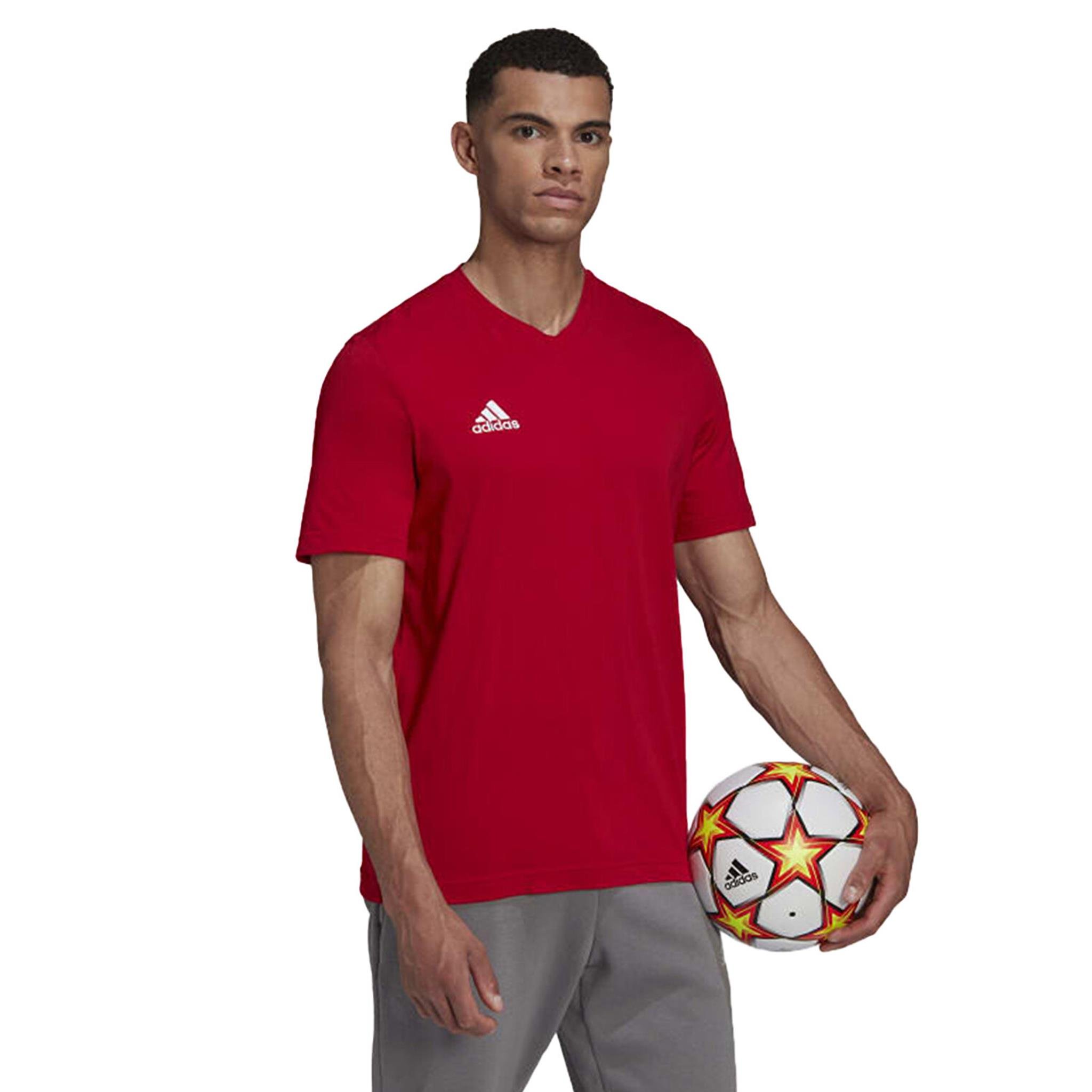 ADIDAS HC0451 ENT22 TEE