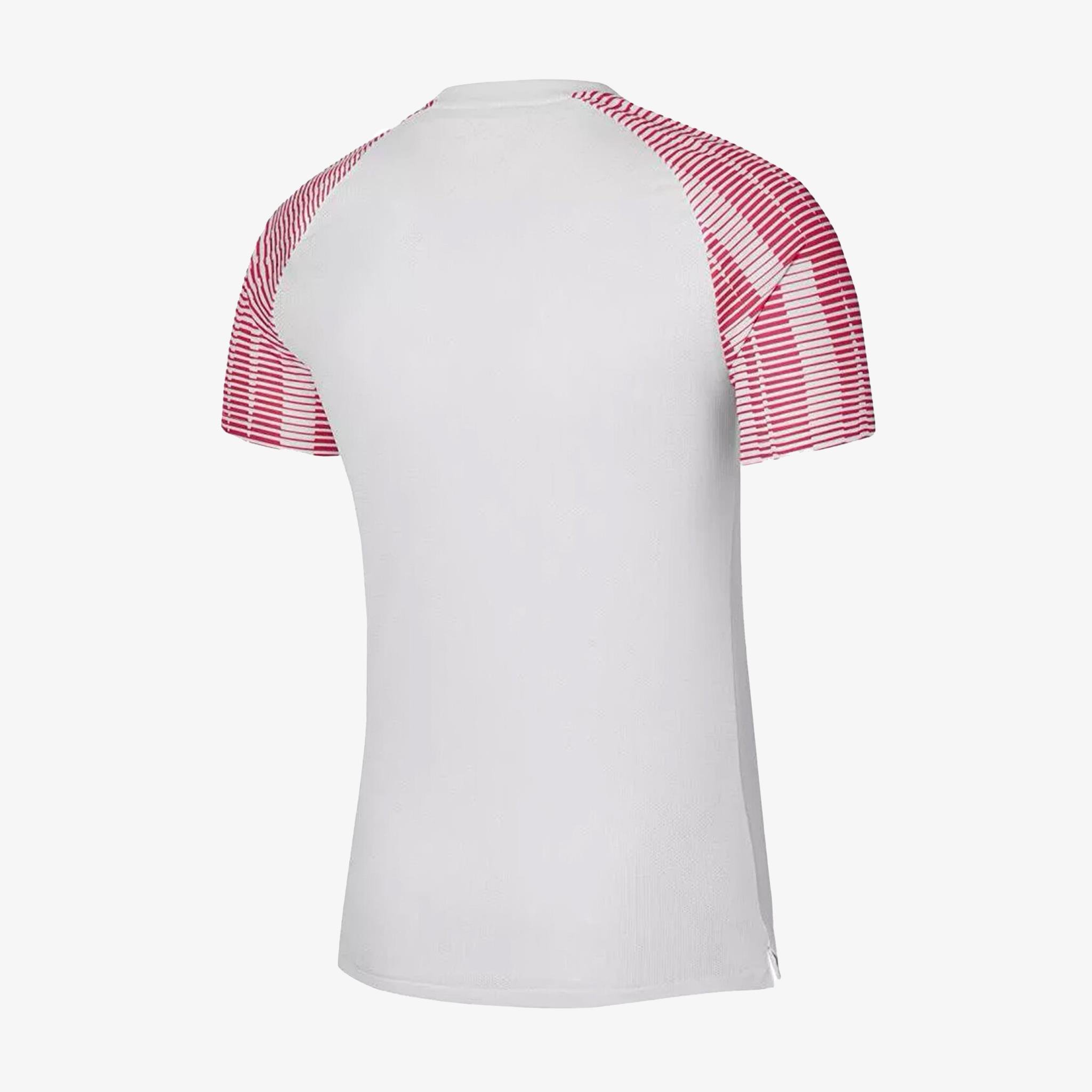 NIKE DH8031-100 M NK DF ACADEMY JSY SS TİŞÖRT