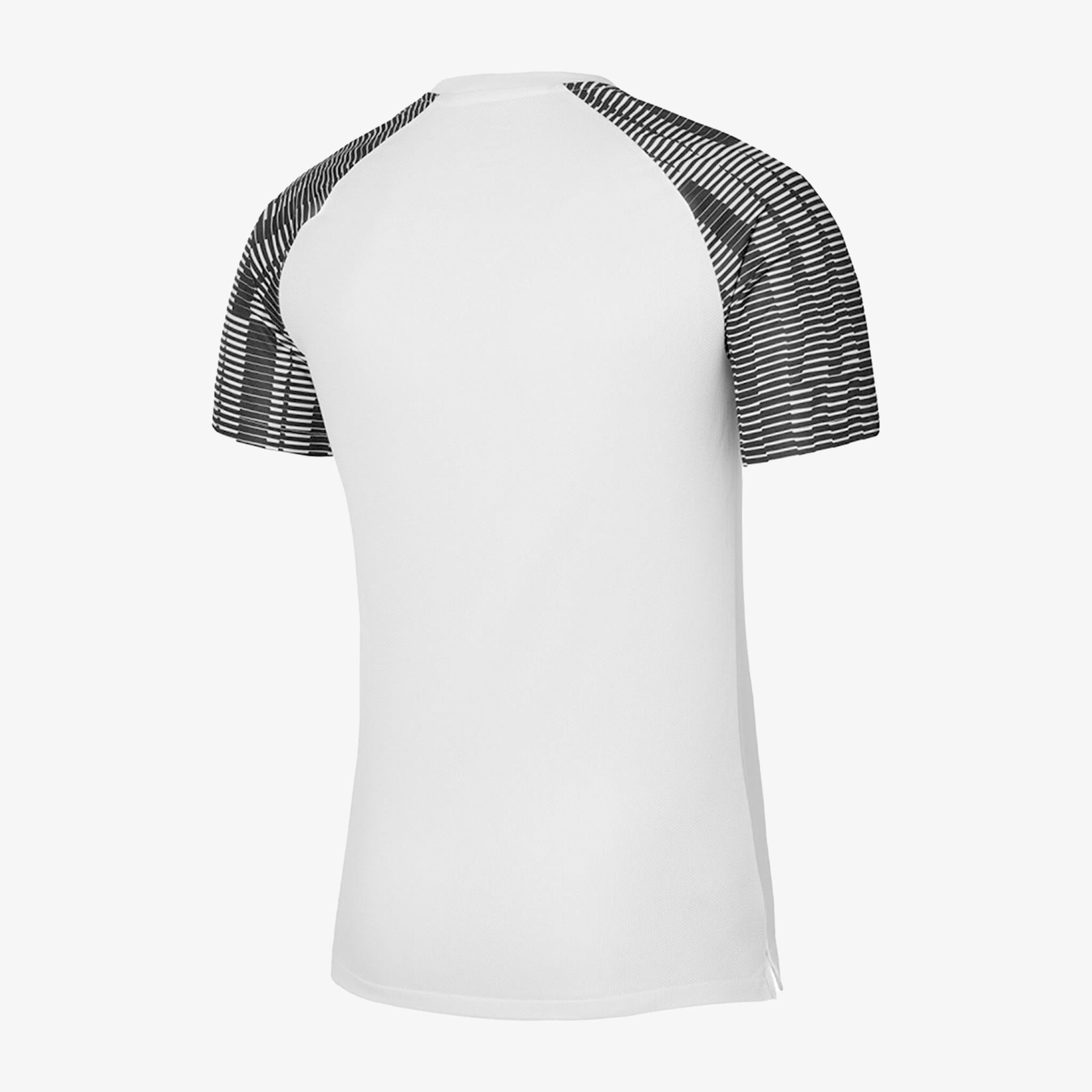 NIKE DH8031-104 M NK DF ACADEMY JSY SS T-SHIRT