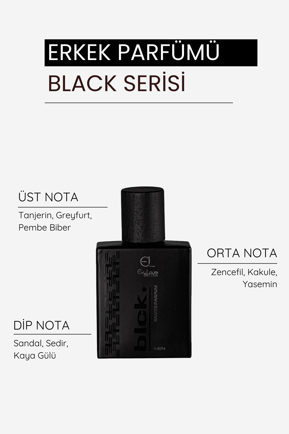 EvyLaure BLCK. Erkek Koleksiyonu | Erkekler İçin Özel Bakım ve Parfüm Seti
