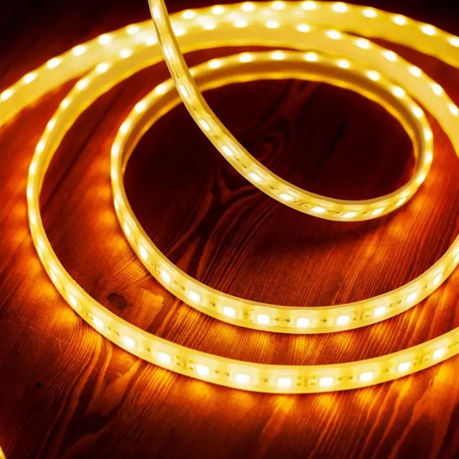 Cata CT-4537 Gold İç Mekan Şerit Led Günışığı
