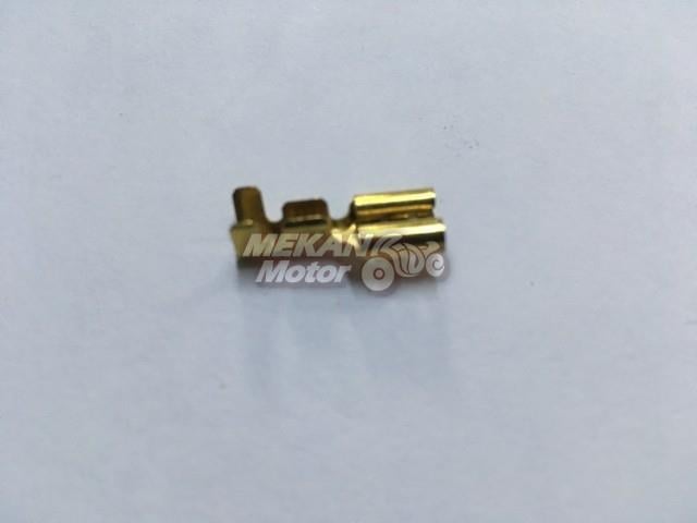 PLUG FEMALE TYPE