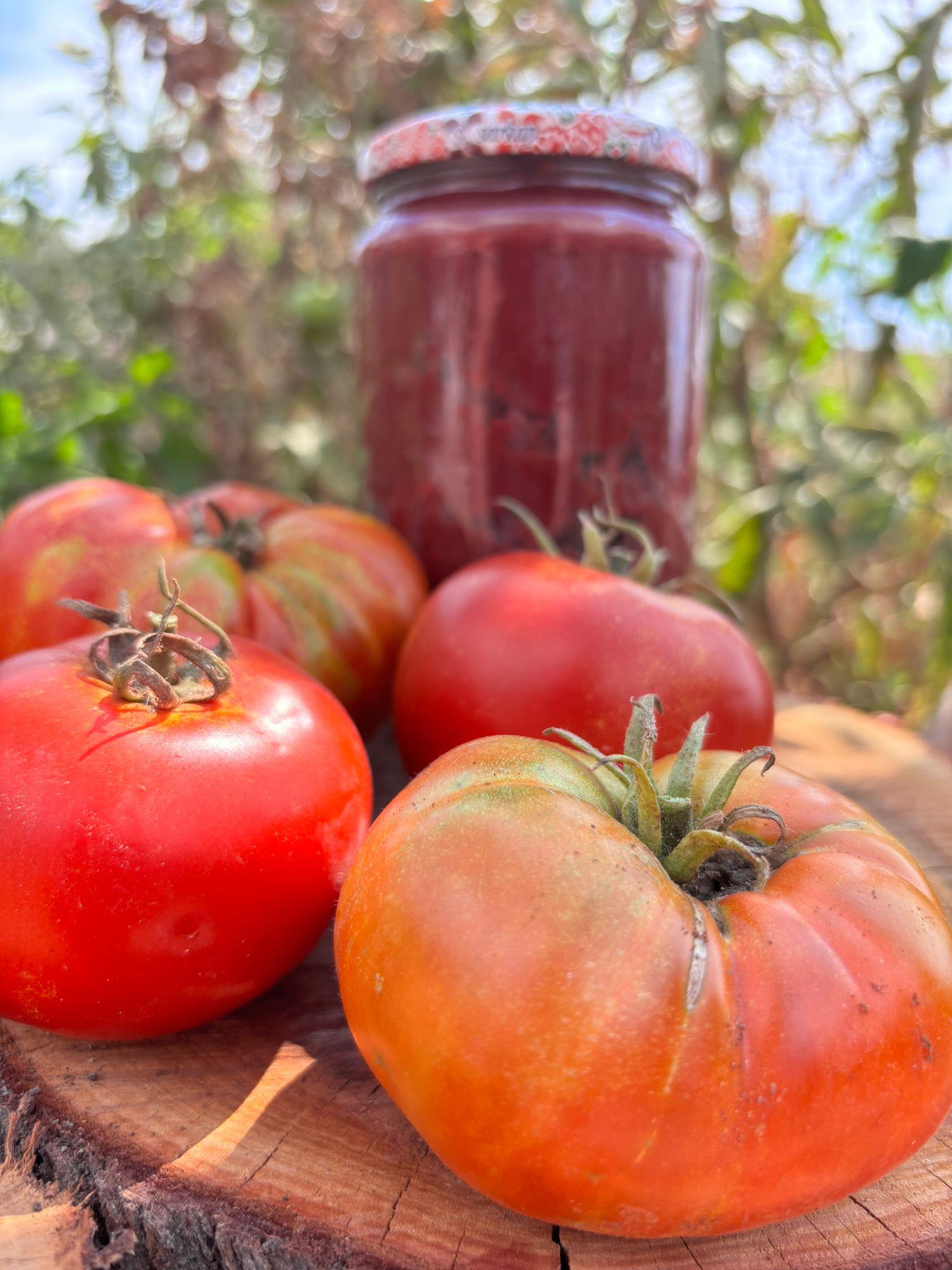Bizimefe Doğal Domates Salçası 1 kg