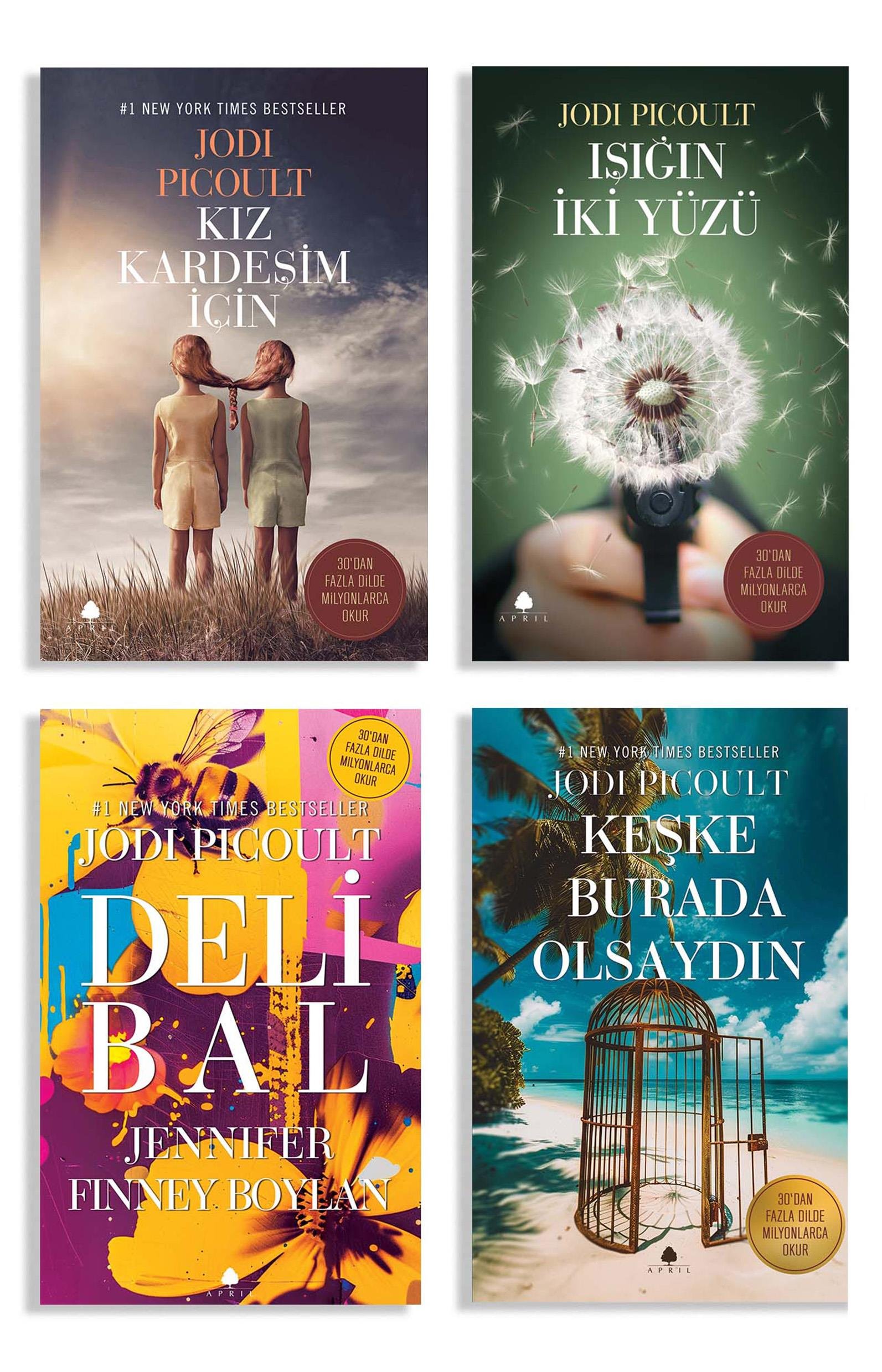Jodi Picoult Seçkisi