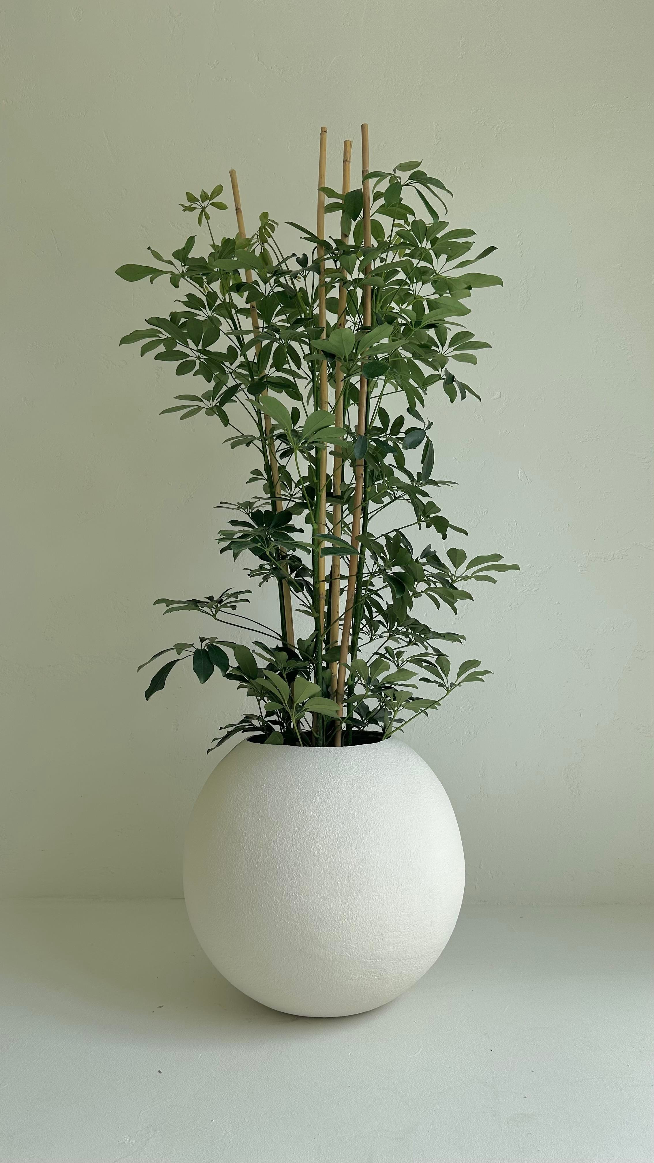 Küre Saksı 50 CM