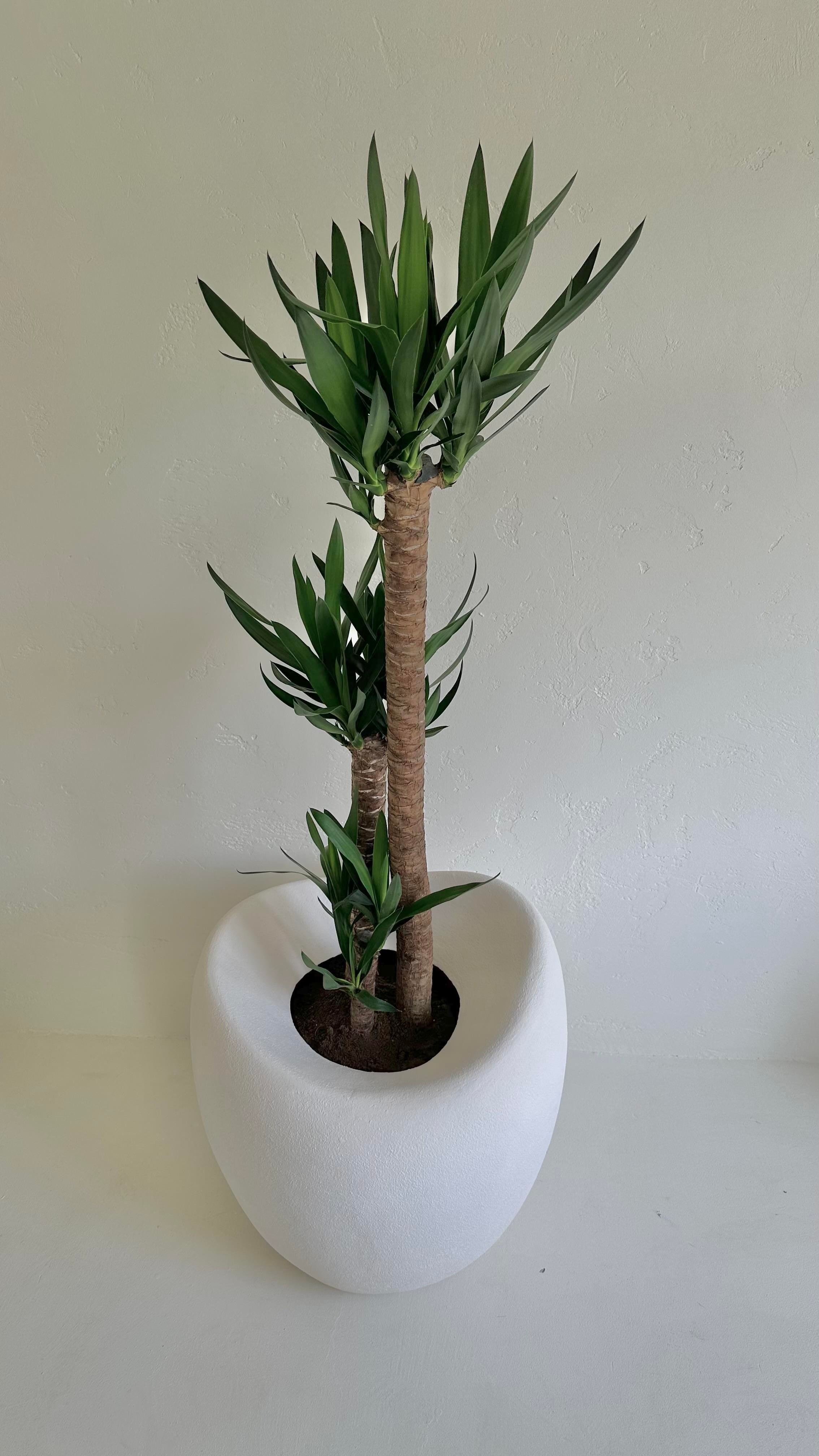 Luna Saksı 65 CM
