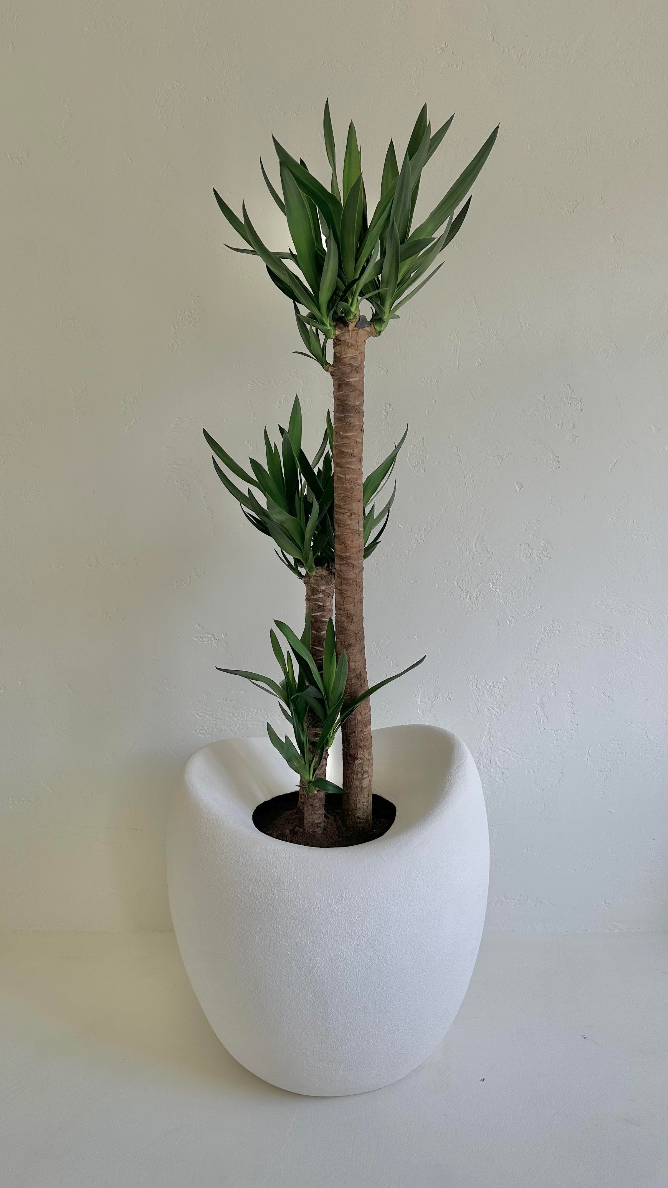 Luna Saksı 65 CM