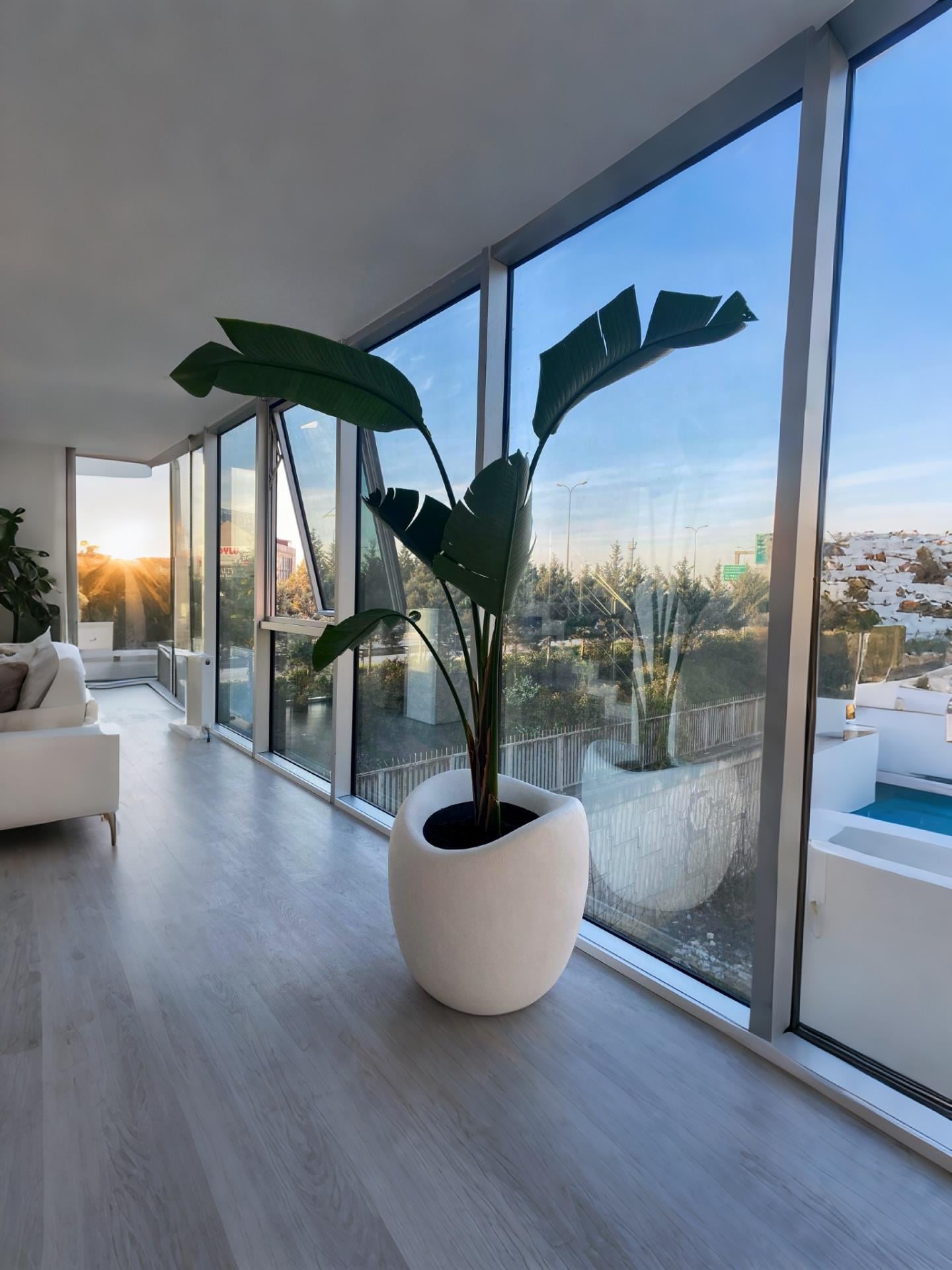 Luna Serisi Beton Görünümlü Modern Saksı 70 CM