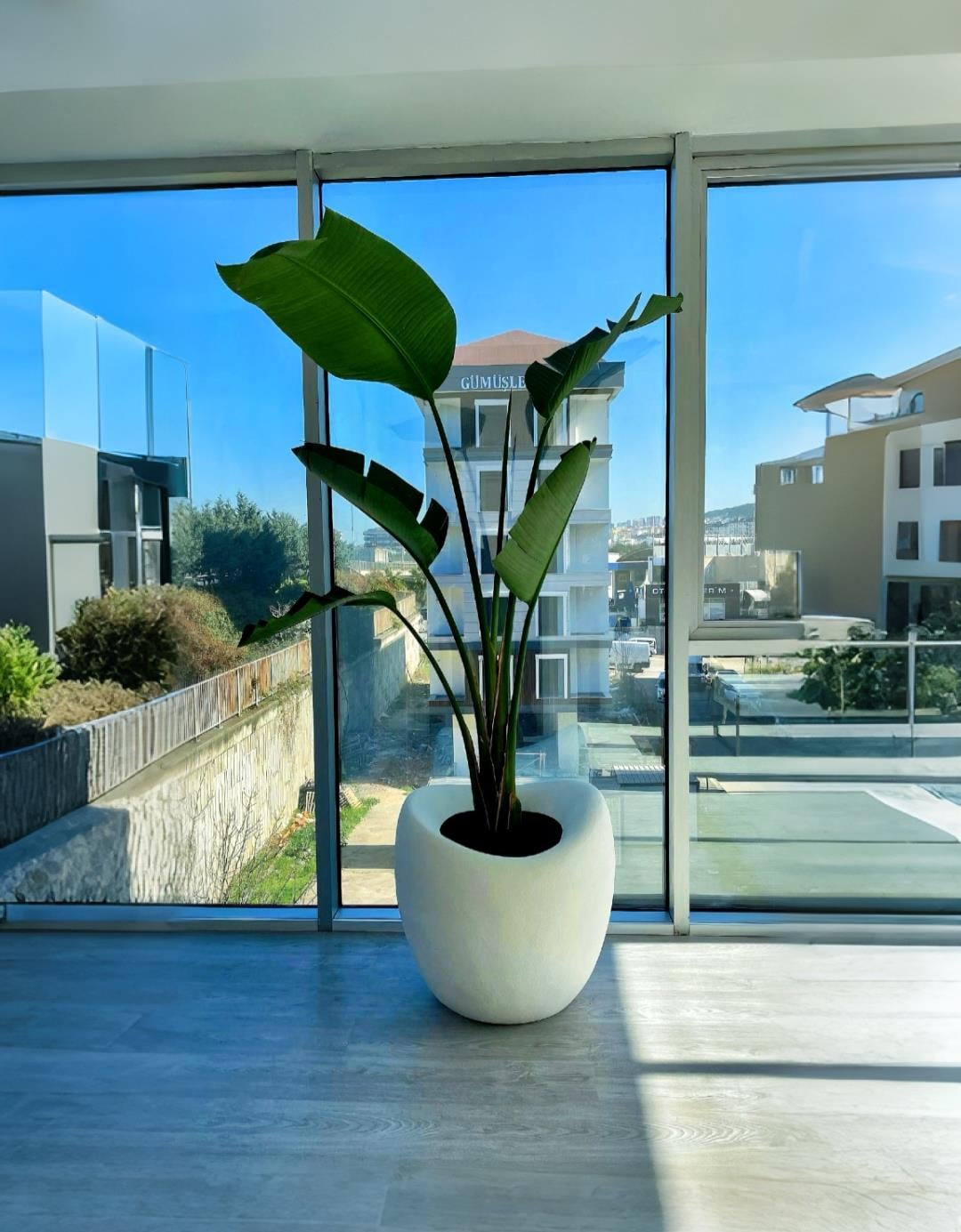 Luna Serisi Beton Görünümlü Modern Saksı 70 CM
