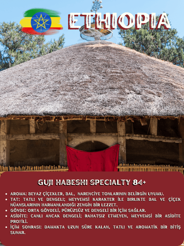 Ethiopia Guji Habesha 84+ Specialty Nitelikli Çekirdek Kahve