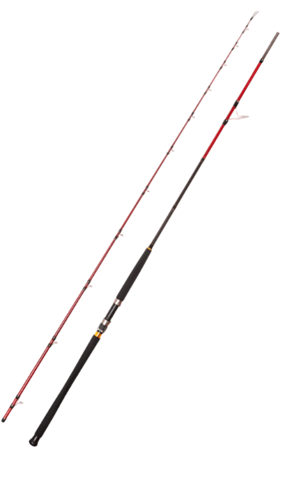 Jigging KamışlarıCaretta Vector 2.95 m 40-120 g Shore Jig Rod