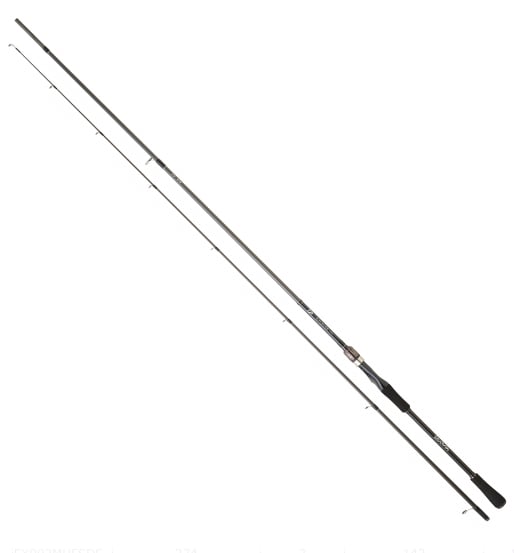 Daiwa Exceler 2.52m 10-35gr 2P Kamış