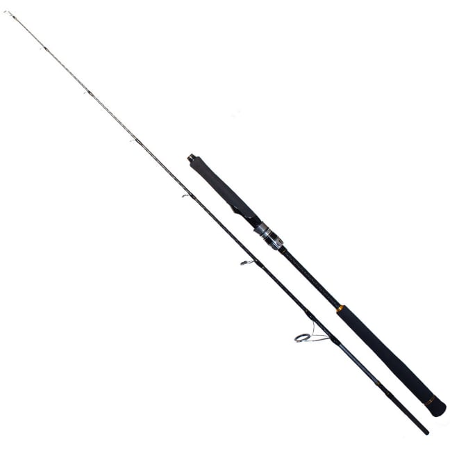 Ryuji Seawolf 1.80m 400-800gr 2P Jig Olta Kamışı
